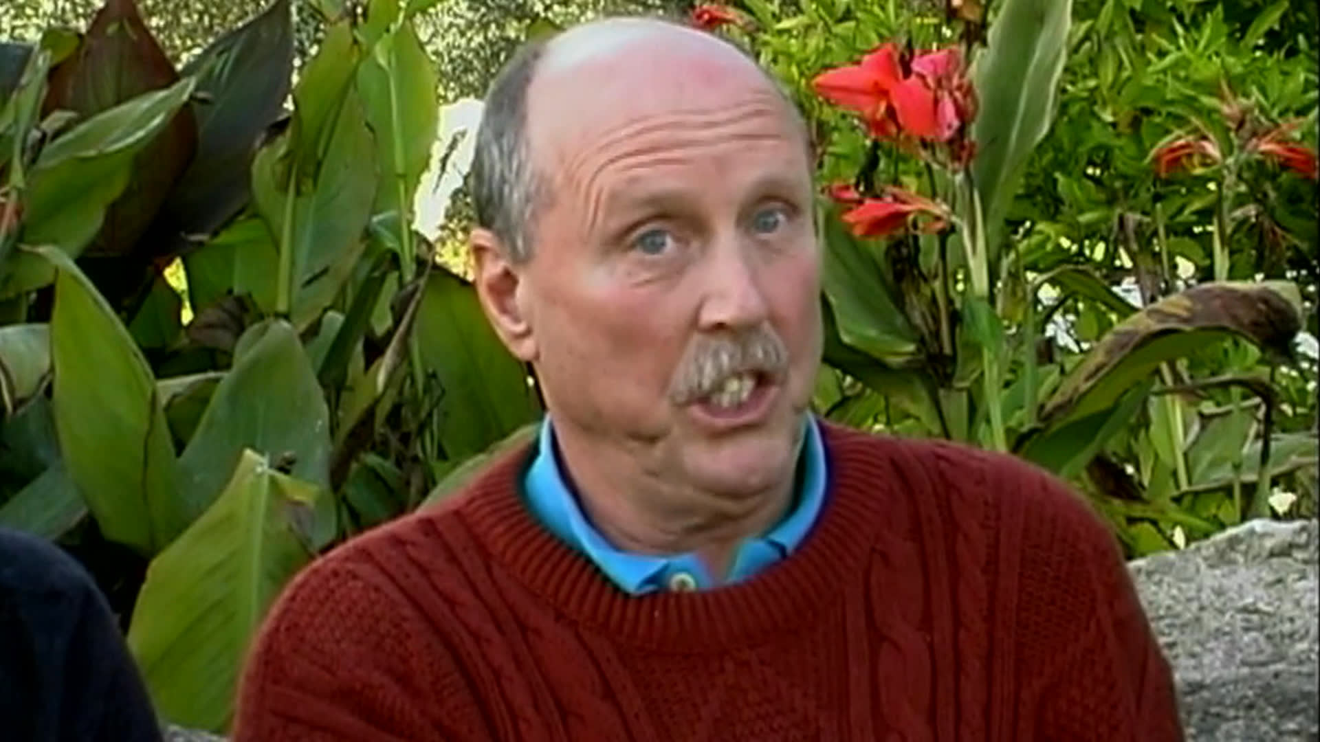 An older man speaks outdoors among lush garden plants, describing an intense period of shopping and buying art. Several colorful paintings and figurative artworks appear in sequence.