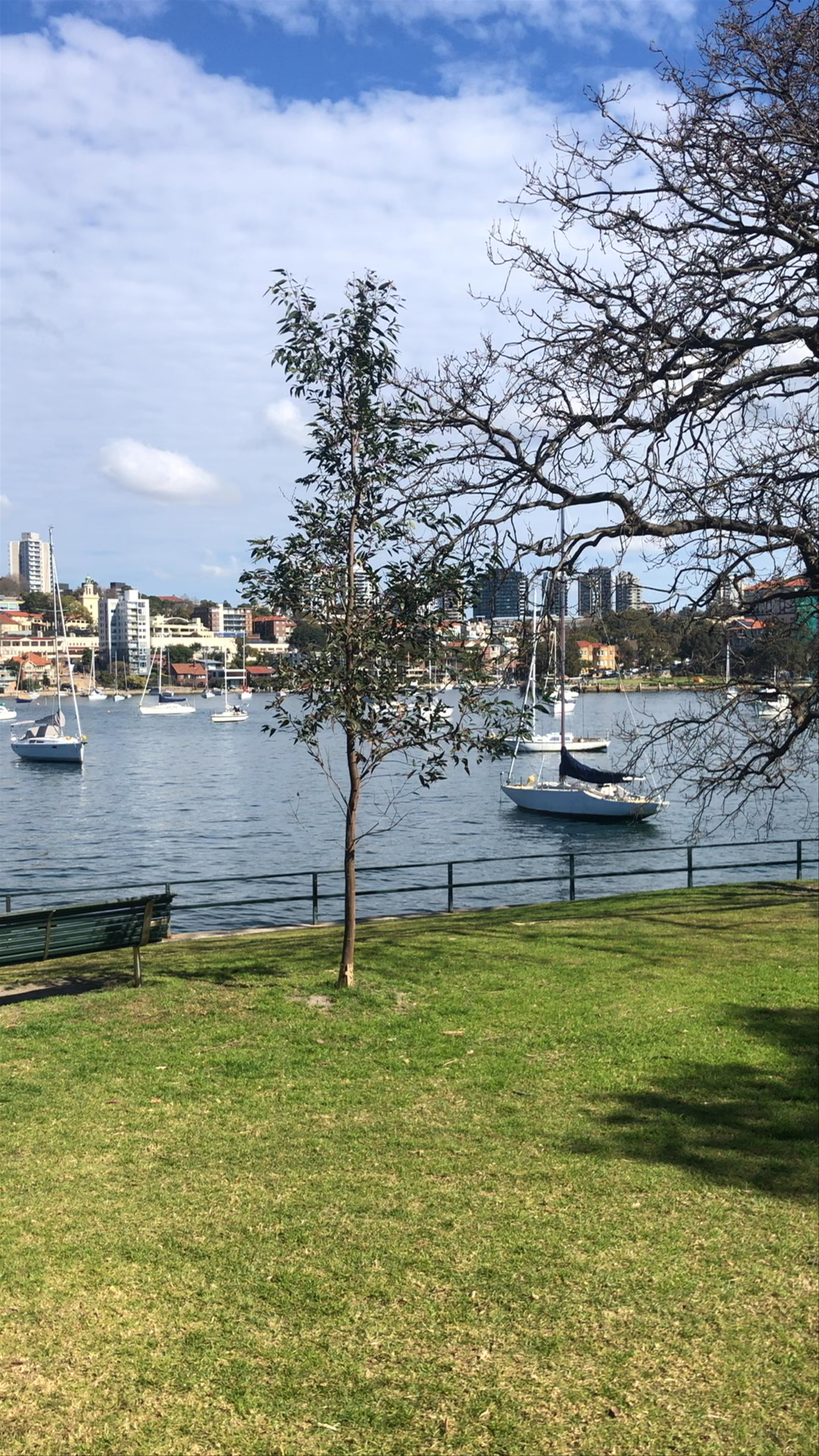 Cremorne Point Garden and Walk: Sydney Harbour Serenity