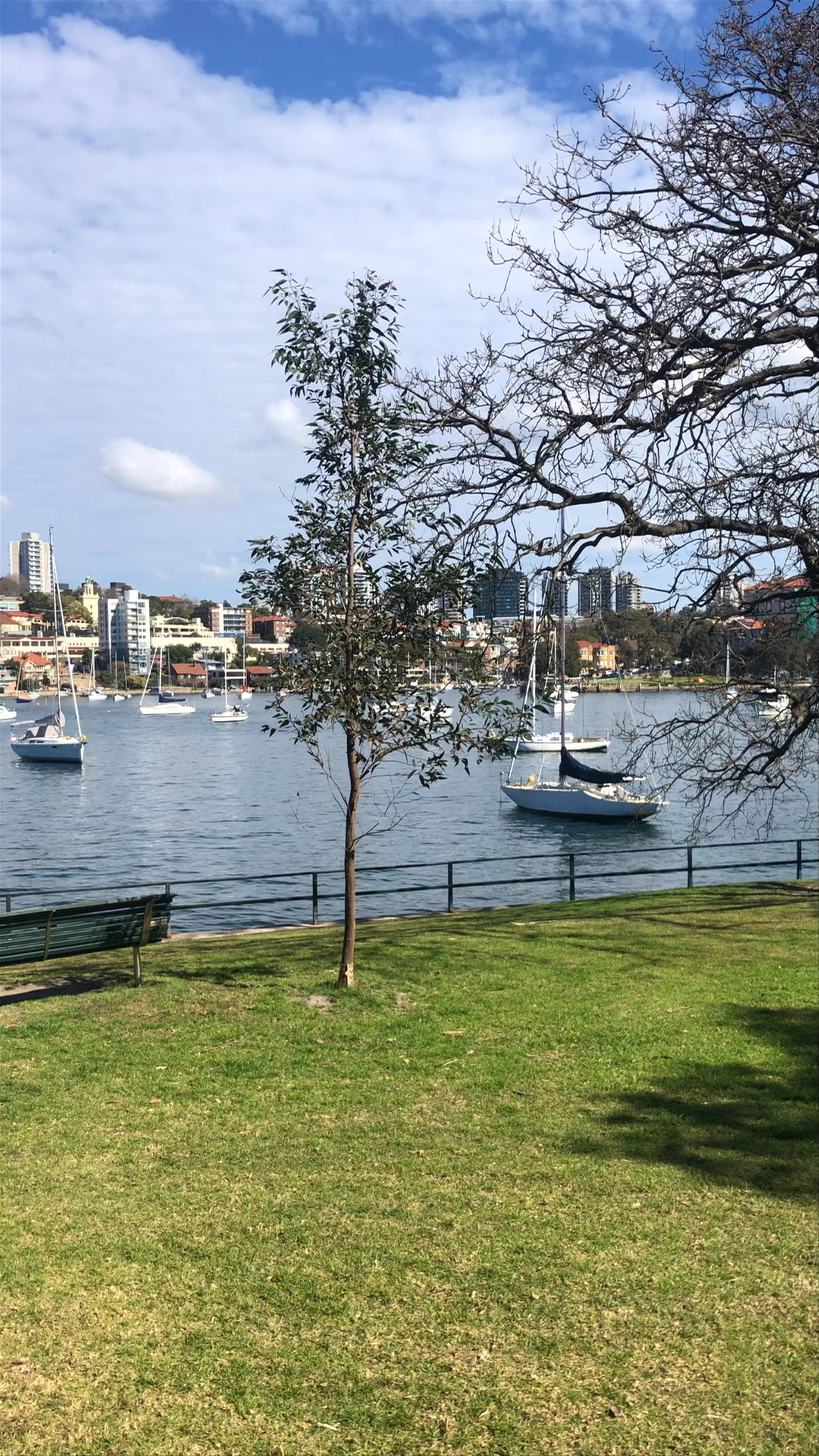 Cremorne Point Garden And Walk