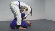 Spider Guard Overhead Sweep