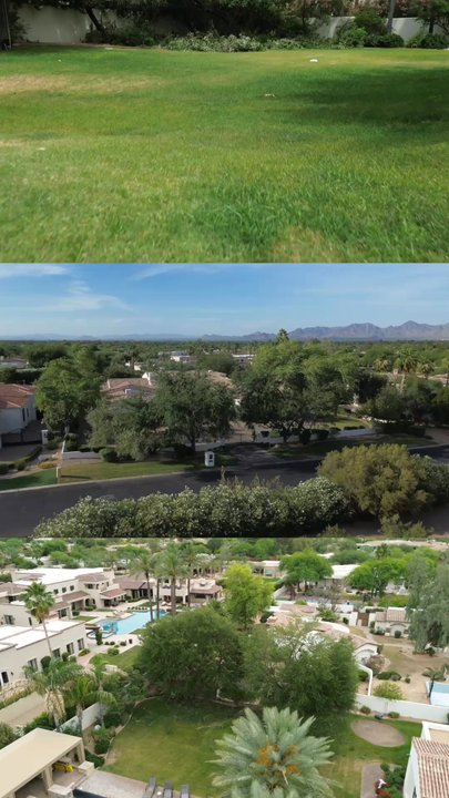 ArborCraft Tree Service - ArborCraft Tree Service at a tree trimming job in Paradise Valley, AZ - Tree Services Near Me - Phoenix, Arizona