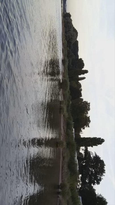 Rodenkirchener Strand - Beaches Near Me - Cologne, NW
