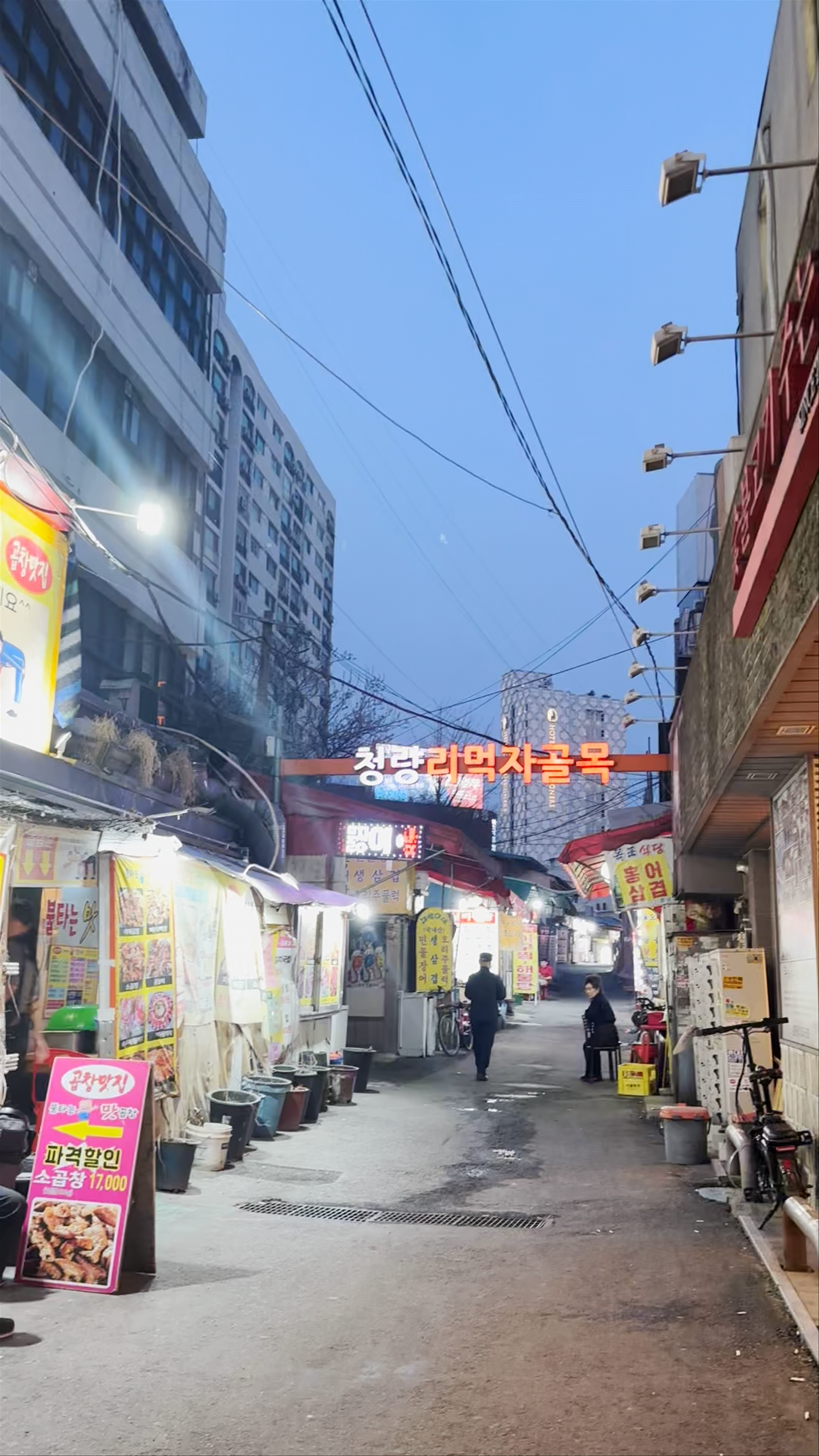 Myeongdong Night Market: Seoul’s Lively Evening Food Experience