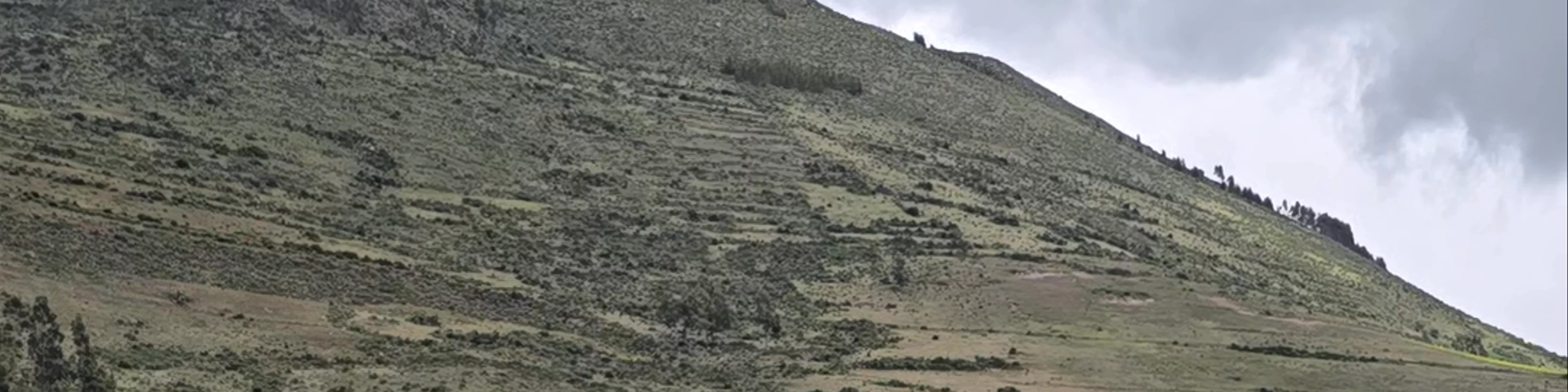 Zona Arqueologica Moray