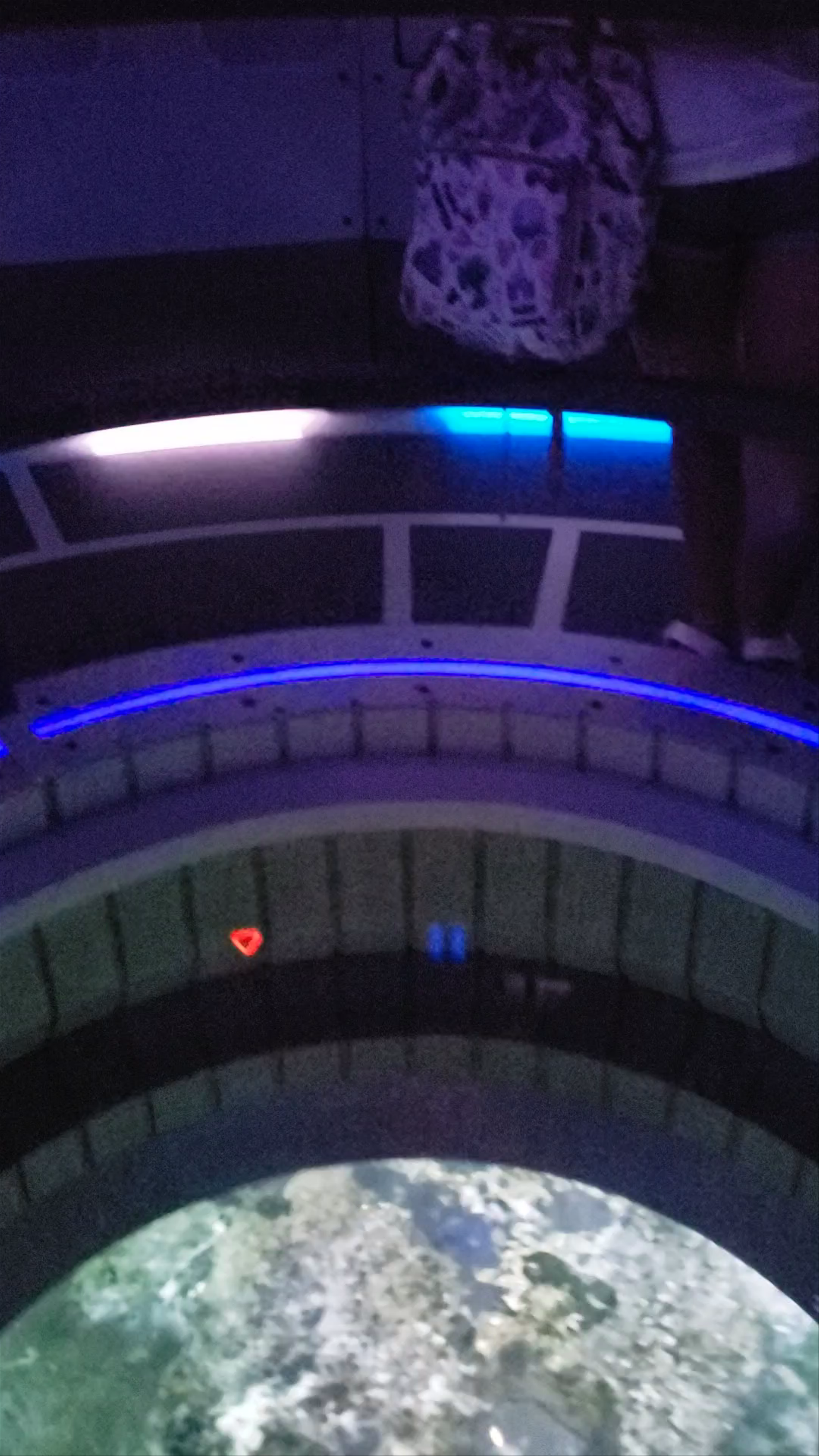 Space 220 Restaurant