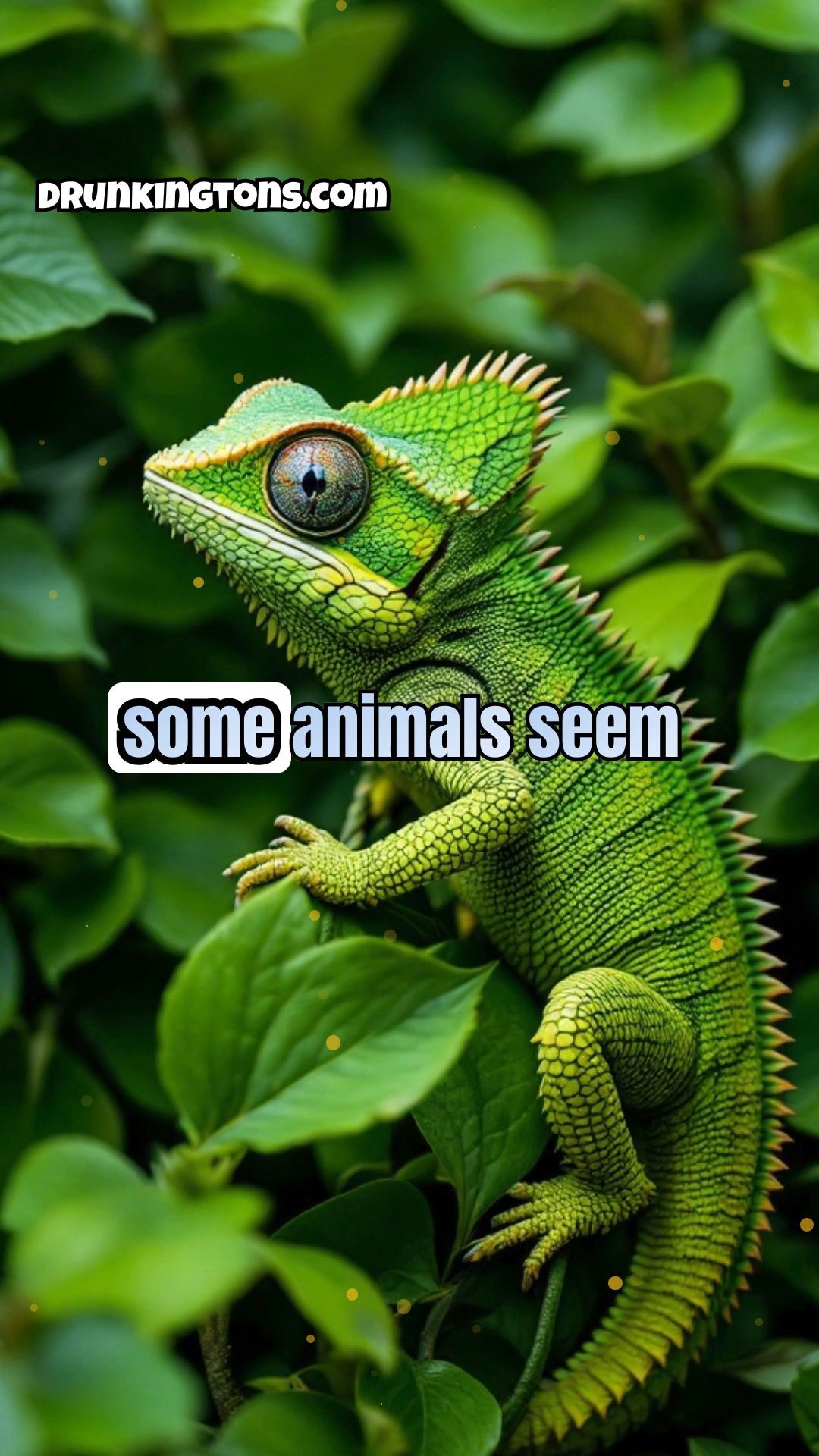 The Ingenious Tactics of Camouflage in Nature: The Art of Hiding in Plain Sight