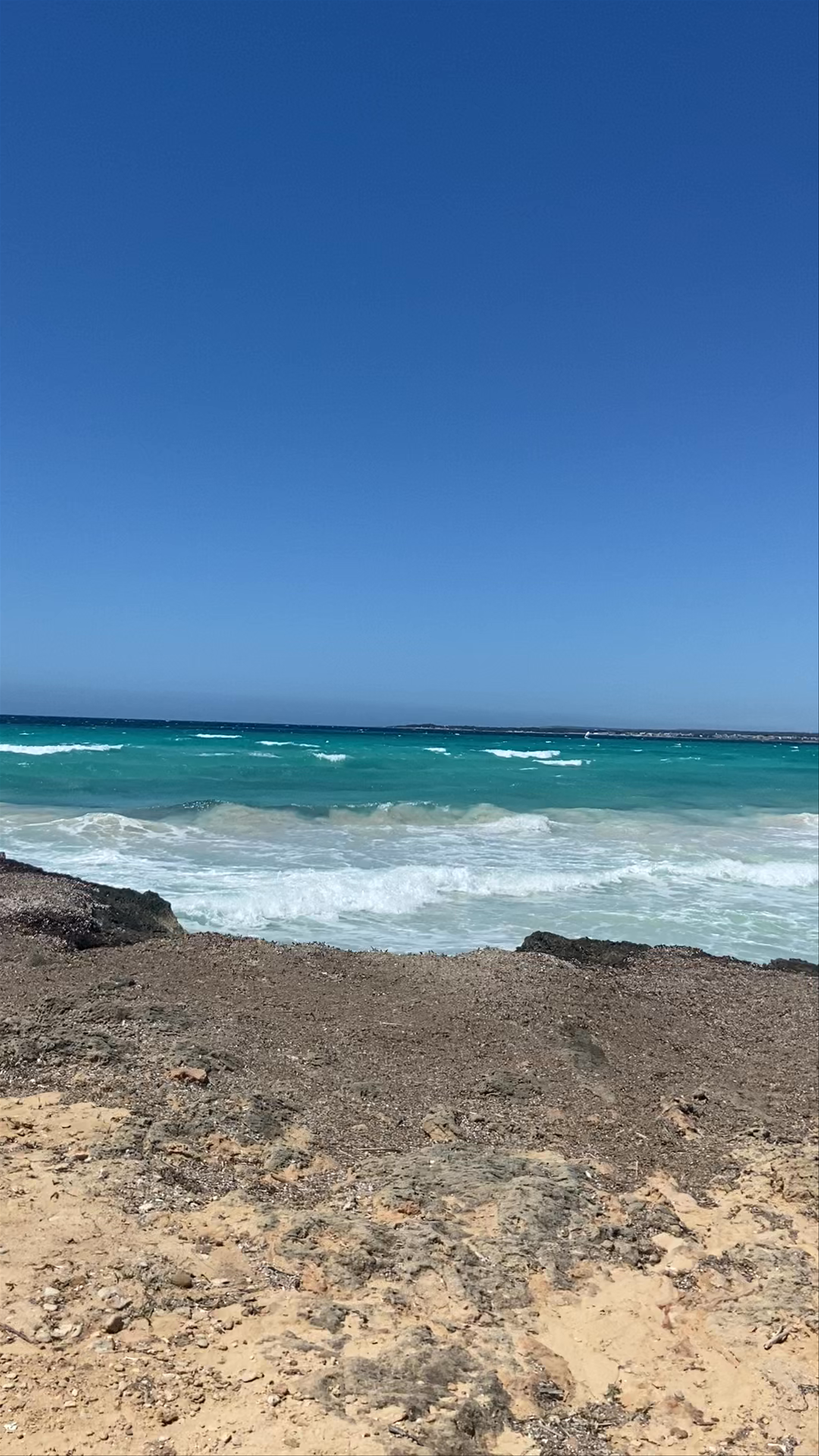 Platja des freu