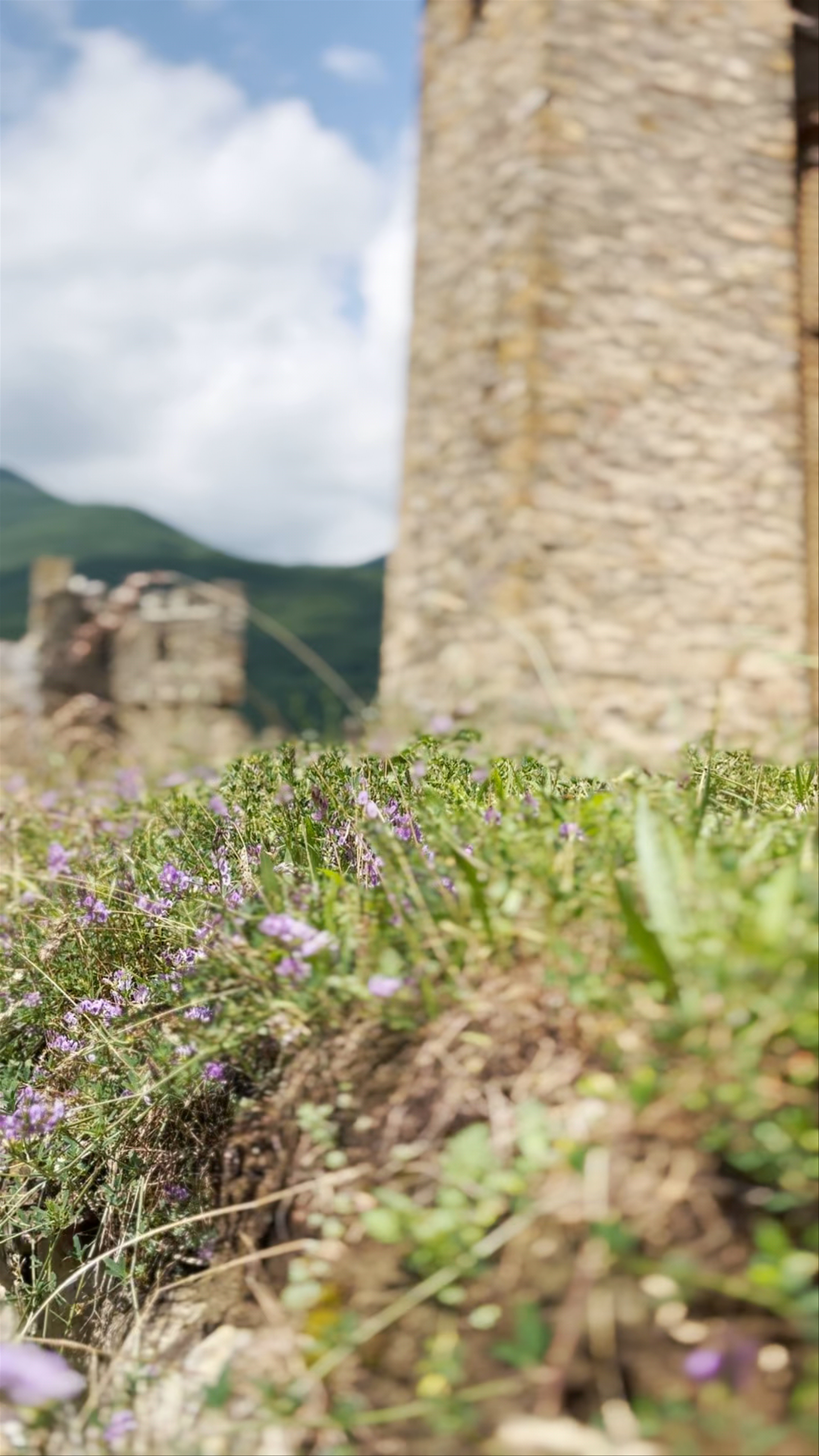 Ananuri Fortress: Timeless Fortress and Mountain Serenity in Georgia