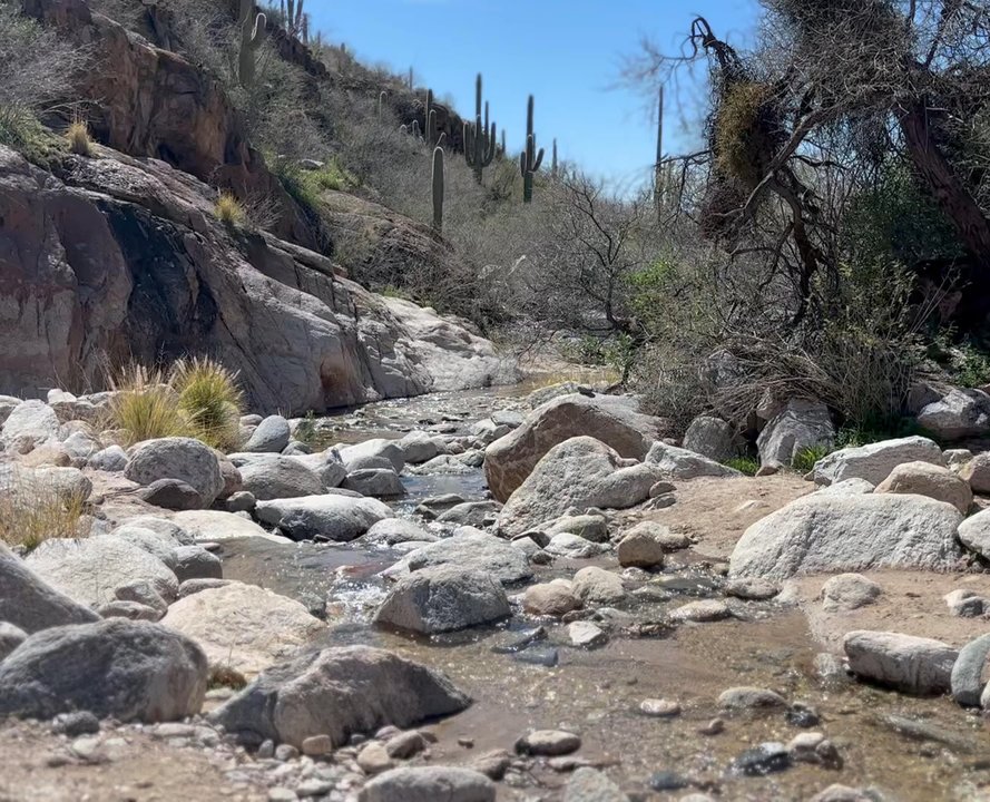 Pima Canyon - Hiking Near Me - Tucson, Arizona