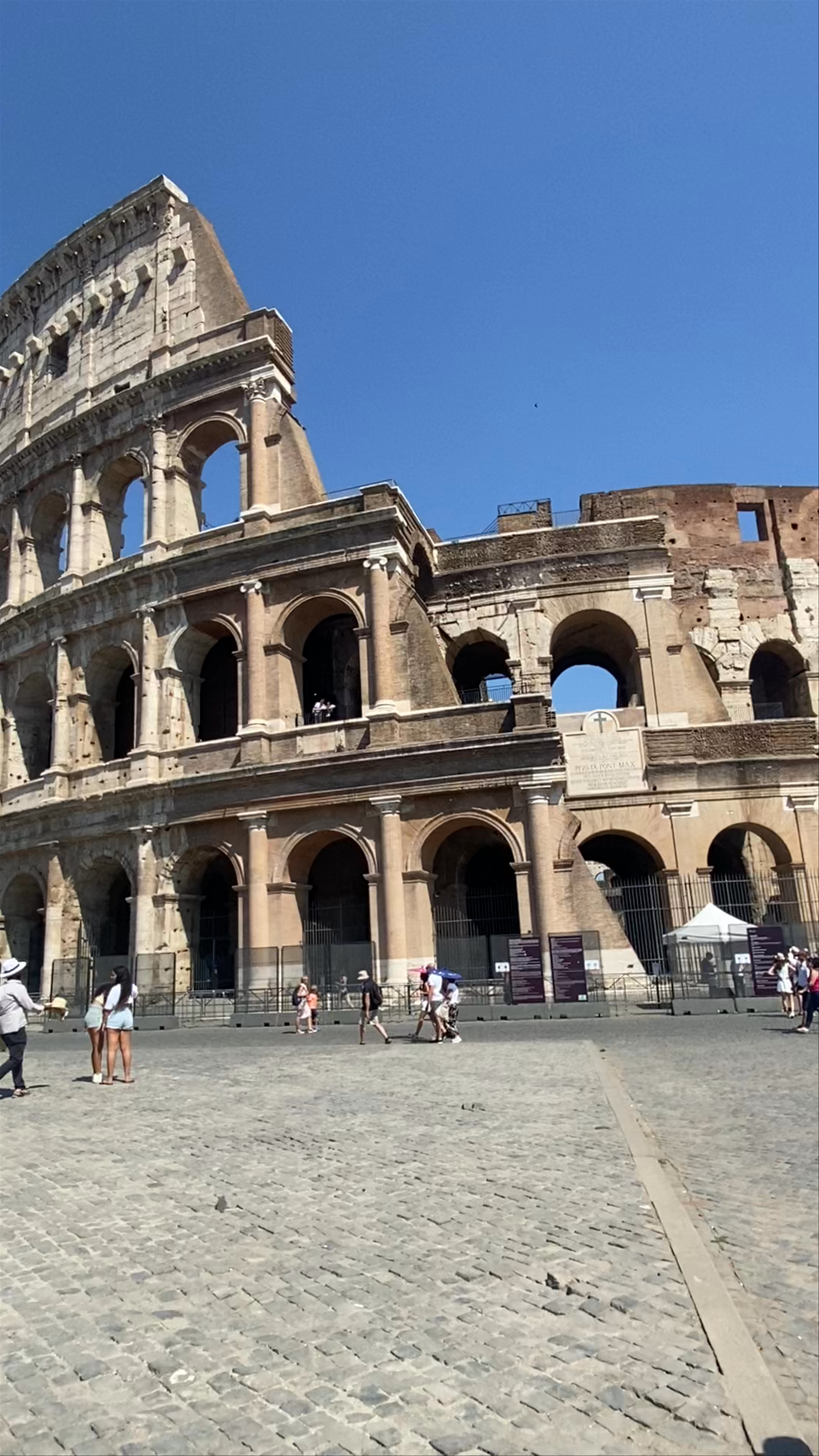 Timeless Majesty of the Colosseum in Rome