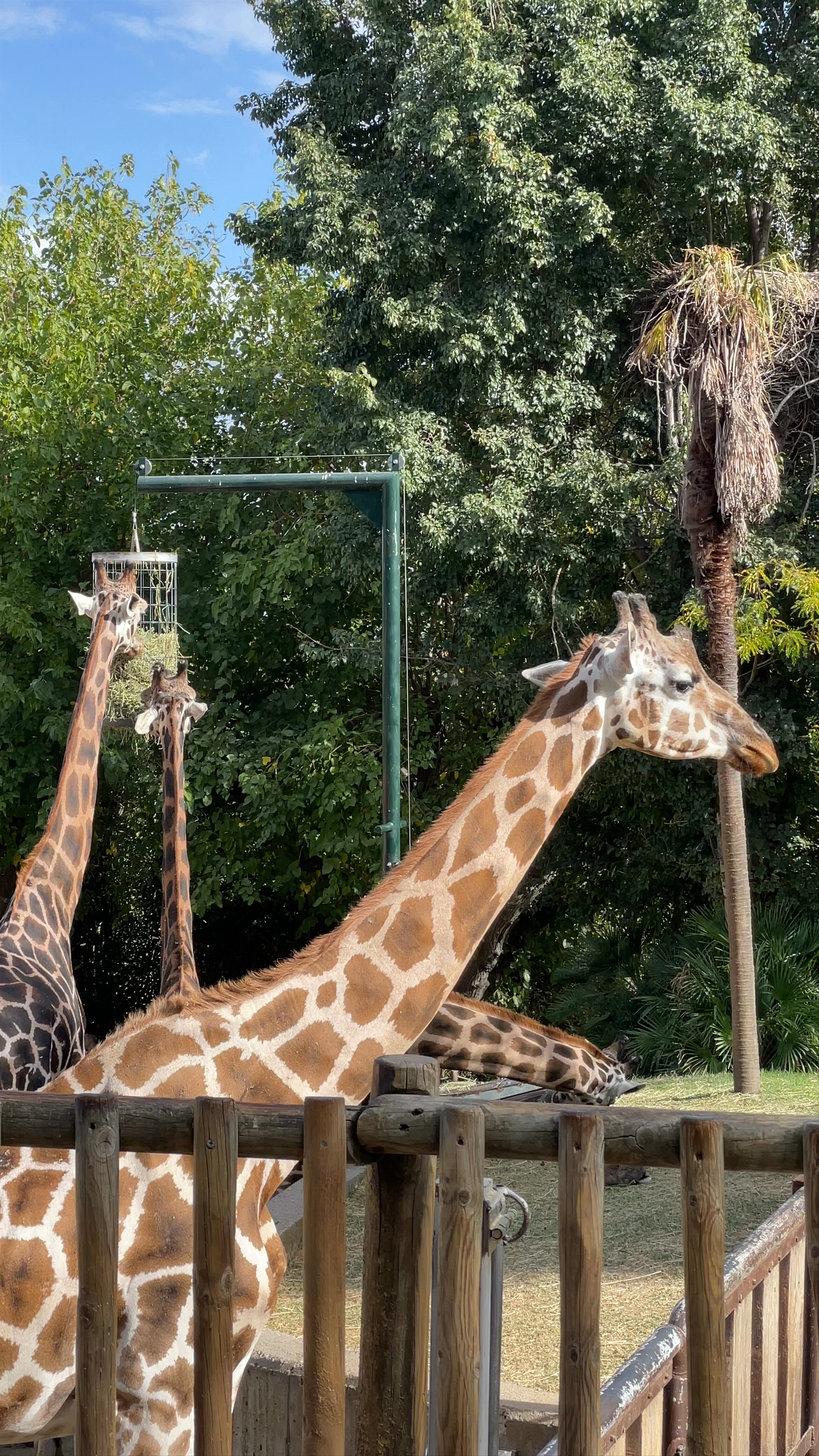 Zoo Aquarium de Madrid