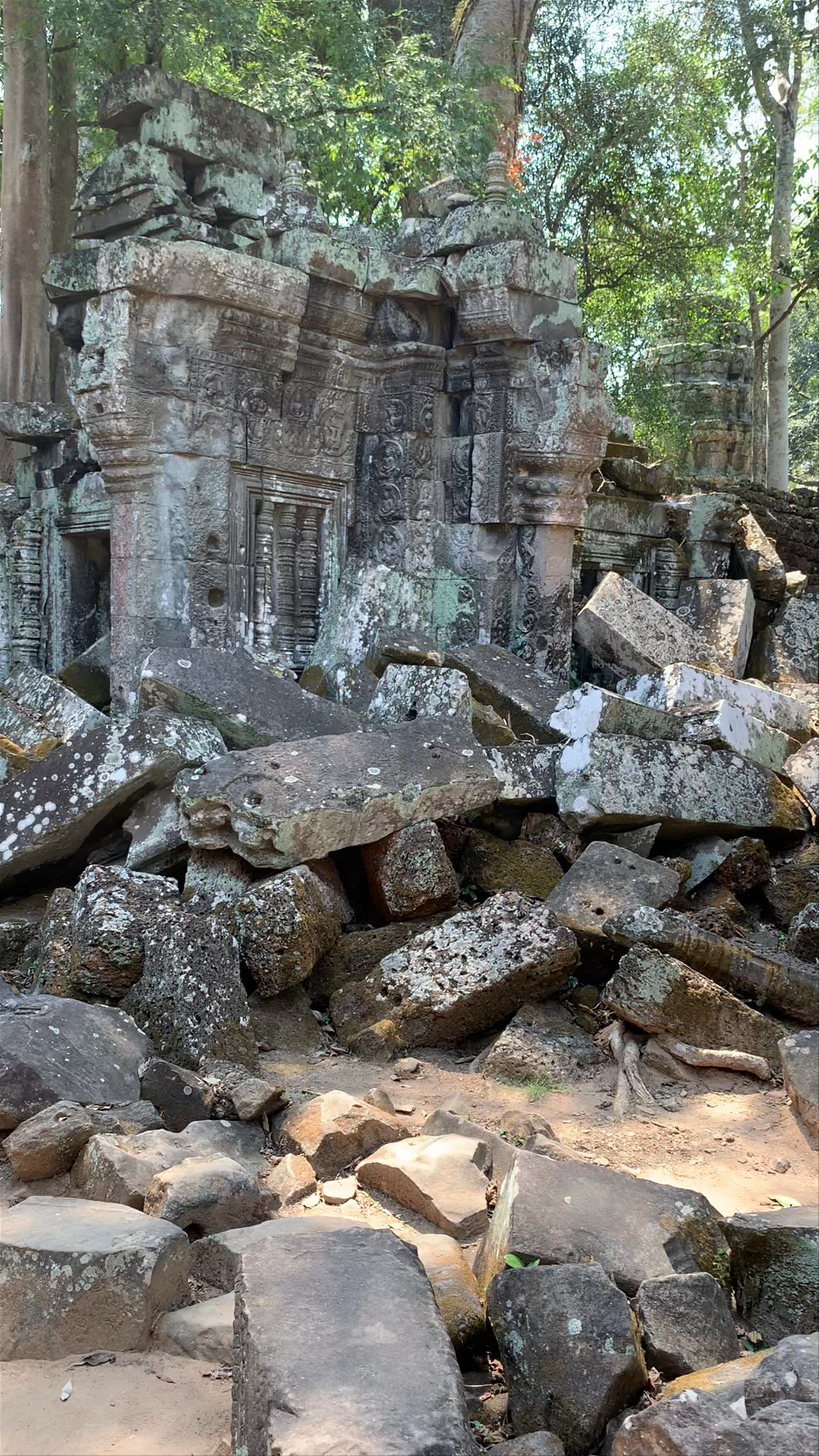 Ta Prohm Temple: Enchanted Ruins of Angkor in Siem Reap