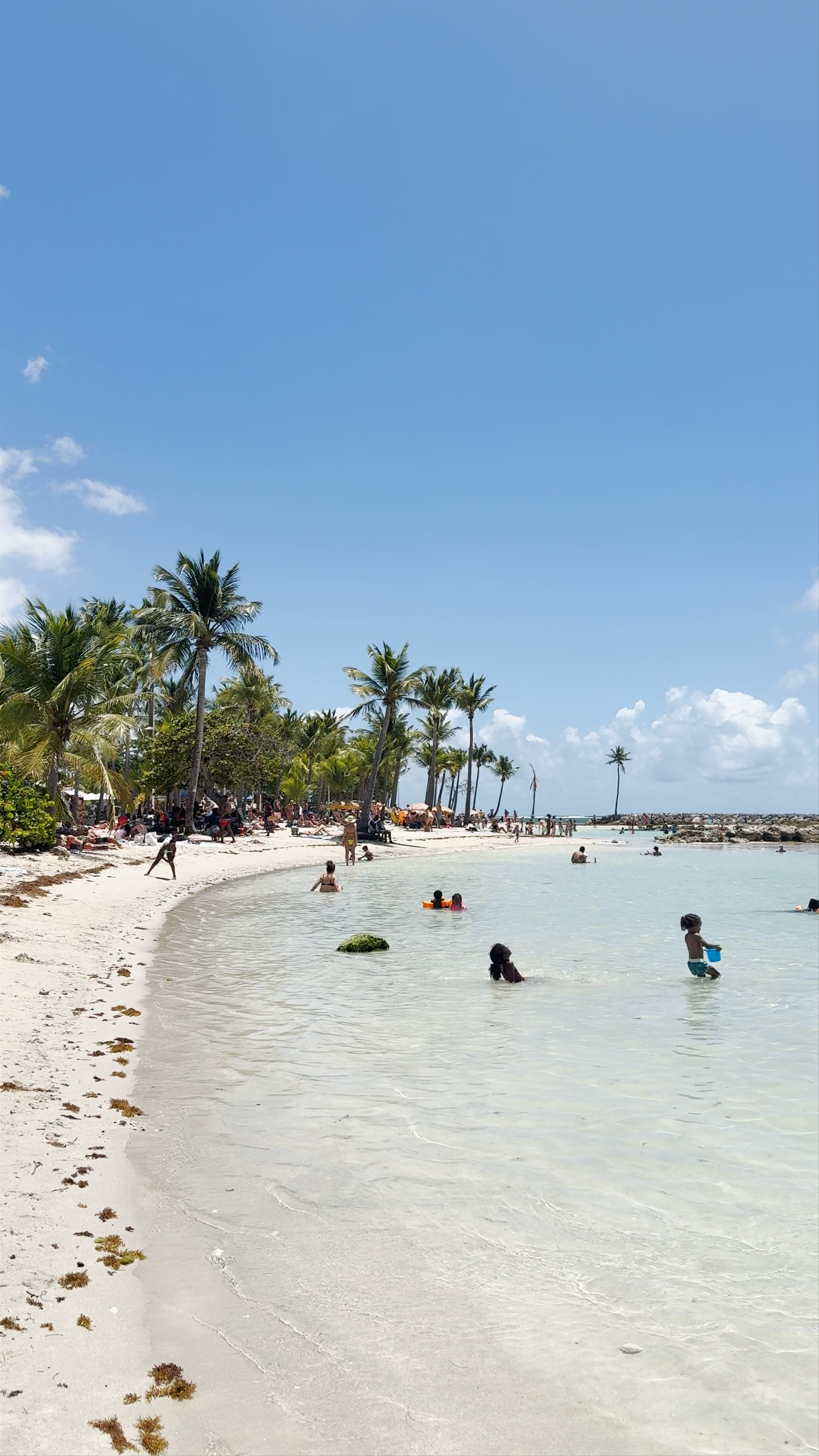 Plage du bourg - Sainte-Anne