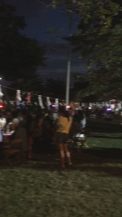 Flushing Night Out - Festivals Near Me - Flushing, New York