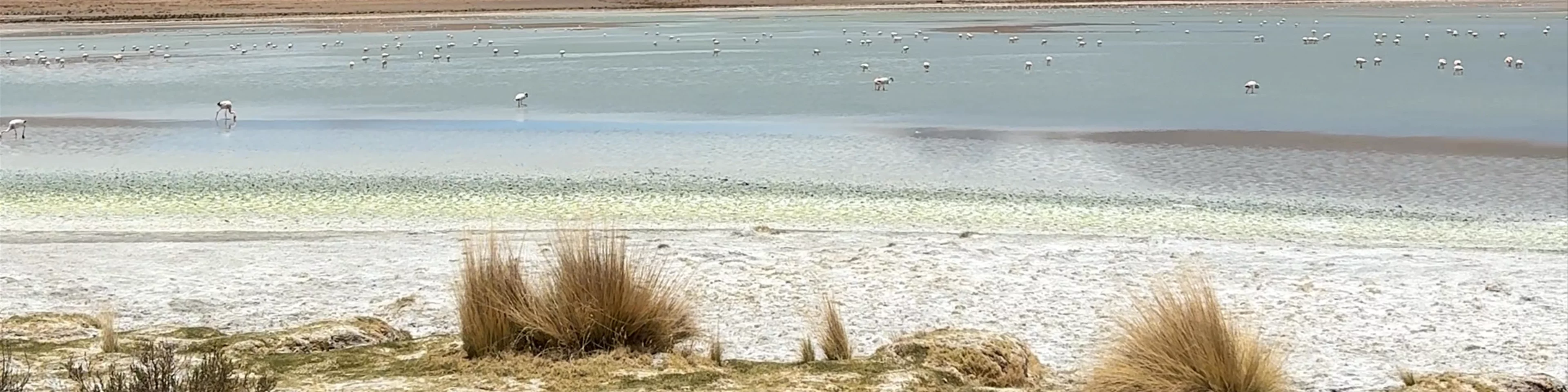 Laguna Hedionda