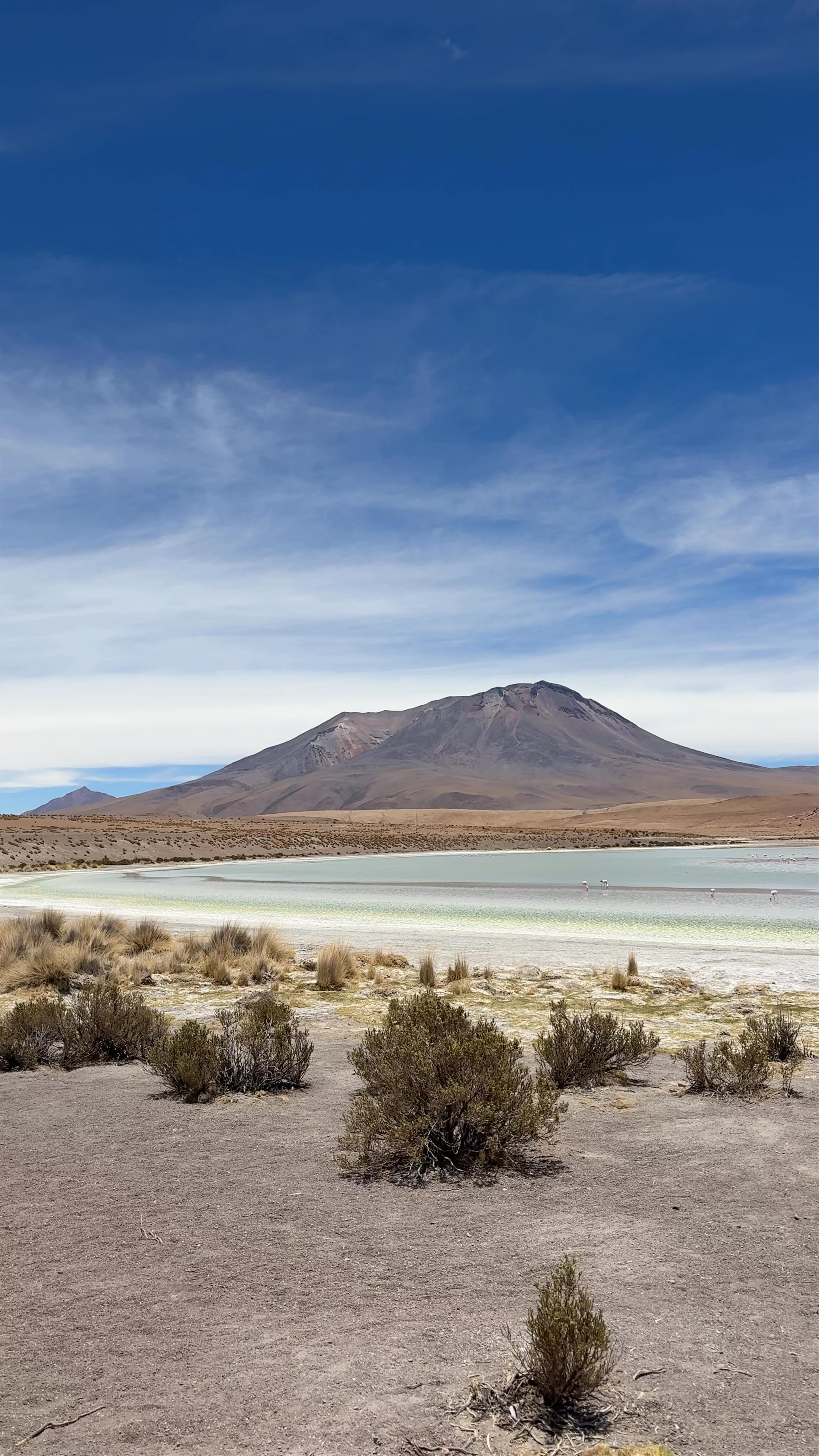 Laguna Hedionda