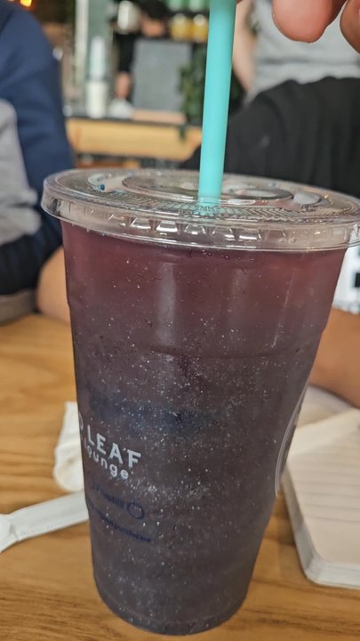 Screwbean Brewing - Shark attack - Coffee & Tea Near Me - Tucson, Arizona