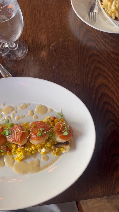 Terra - Scallops were delicious - New American Near Me - West Columbia, South Carolina