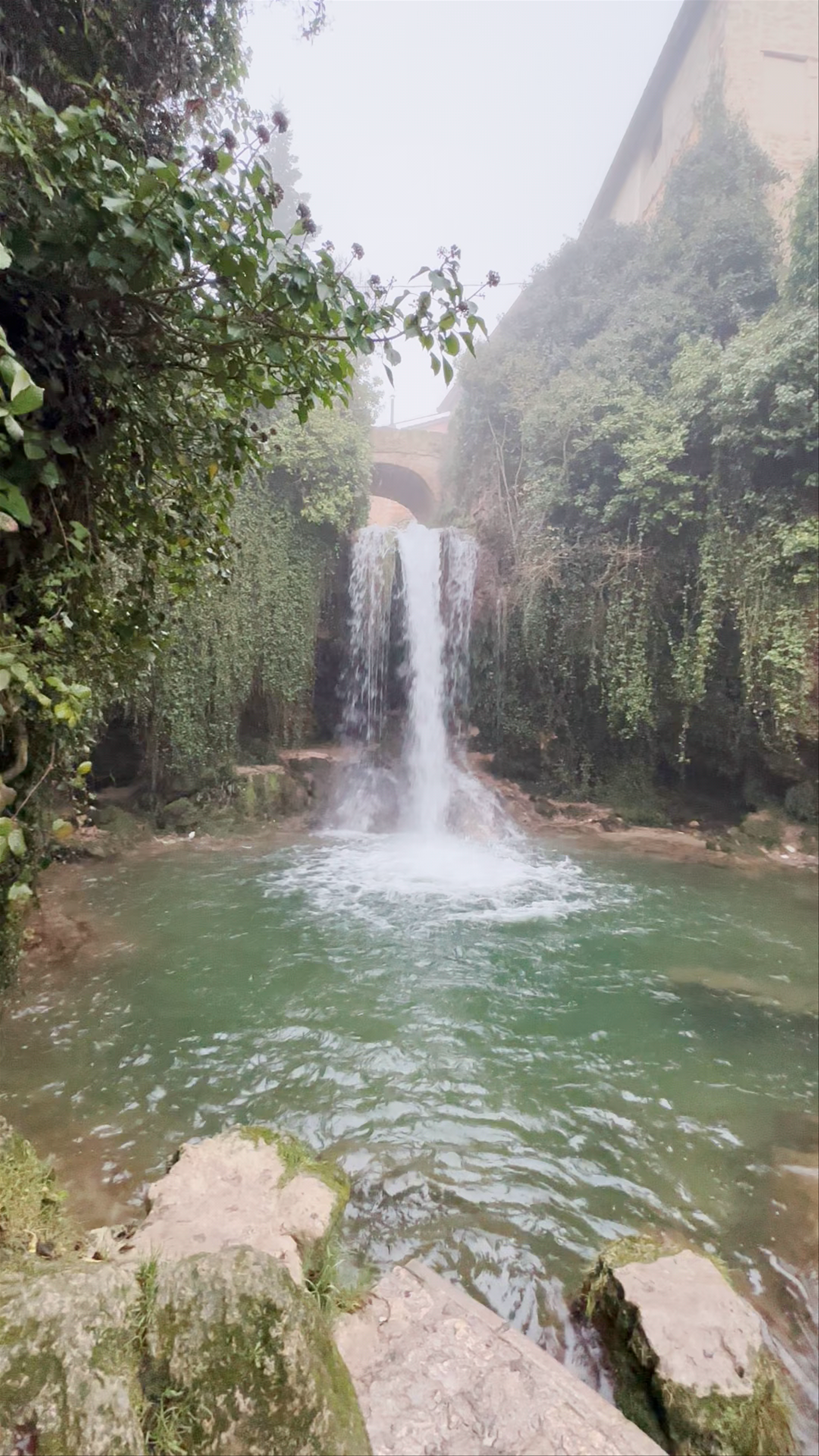 TOBERA - Burgos