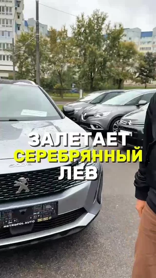 Залетает серебряный лев