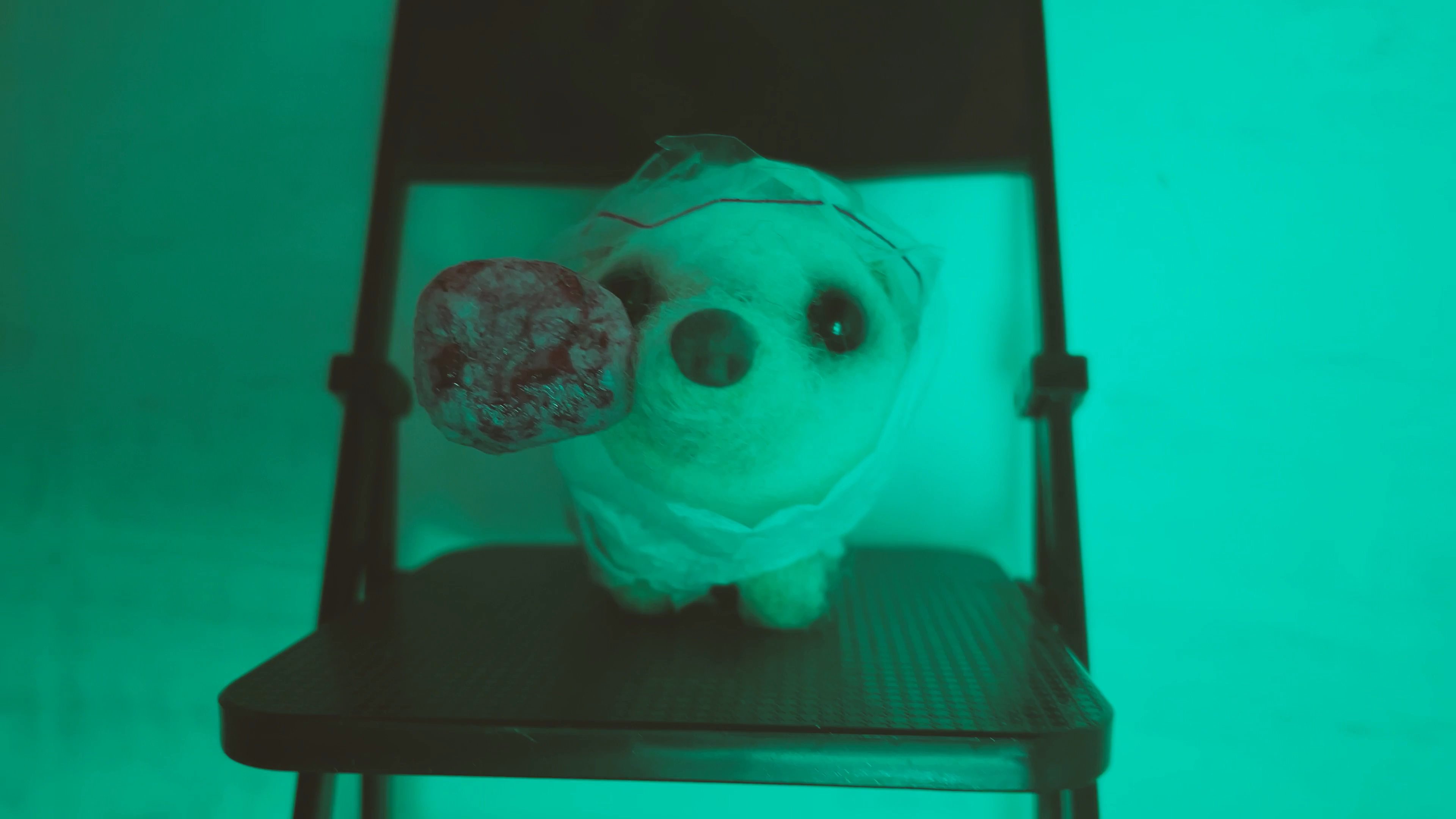 A miniature hedgehog figurine sits on a chair while illuminated by rapidly shifting, saturated color filters and abstract projections. The scene utilizes dynamic lighting effects to create a stylized, experimental visual composition.
