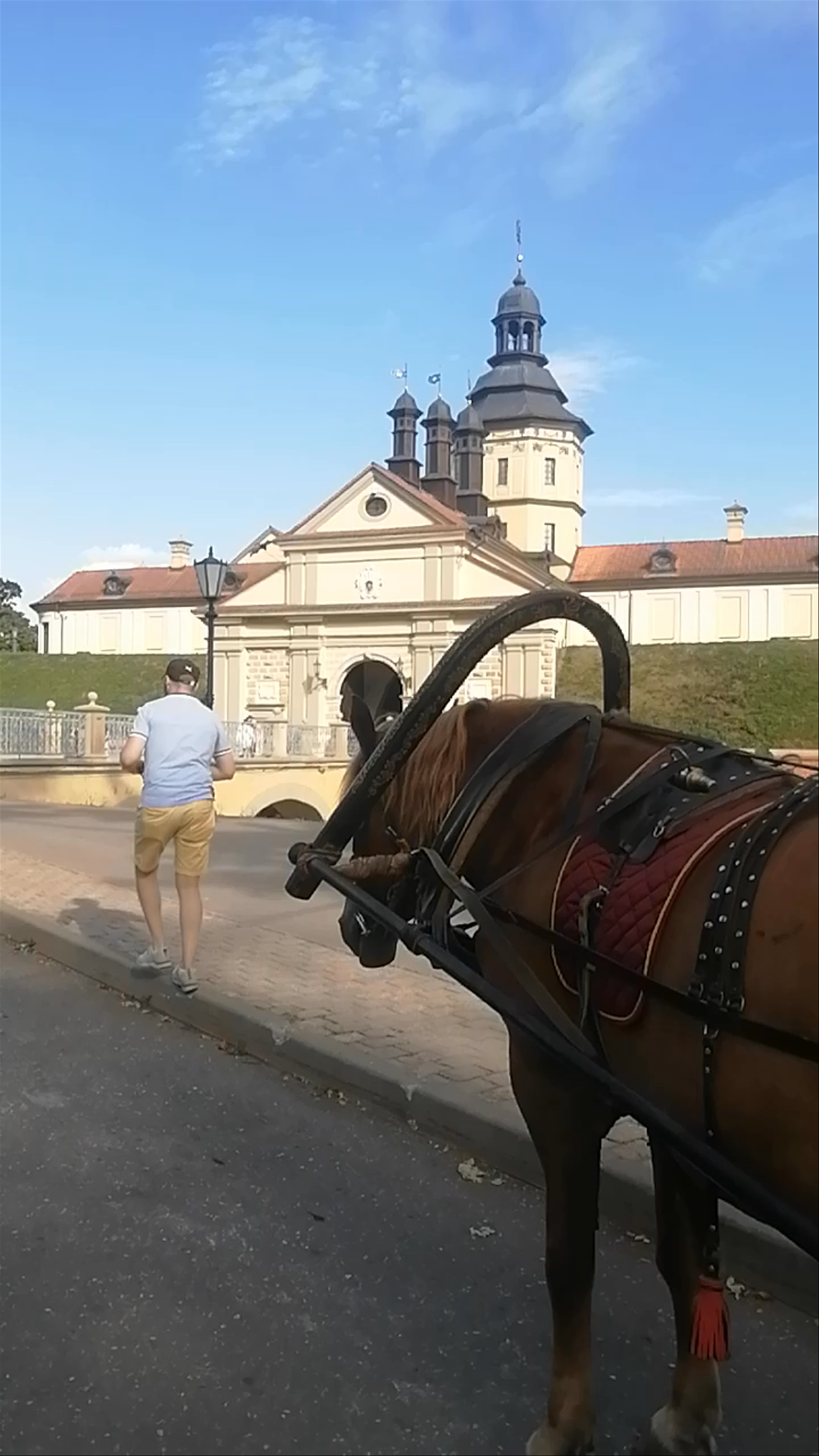 Nesvizh Radziwiłł Castle