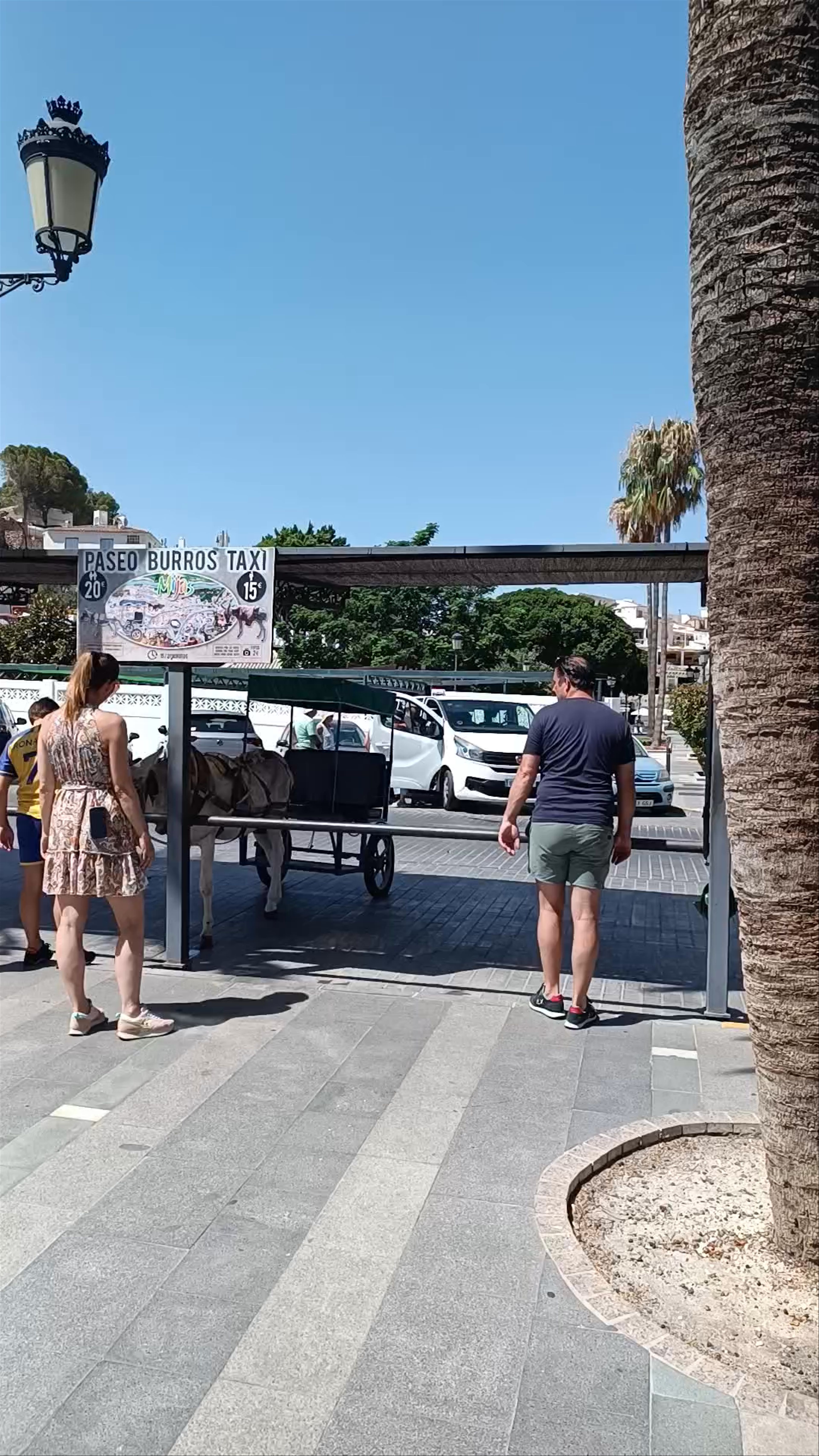Mijas Burro Taxi Experience in Andalucía, Spain