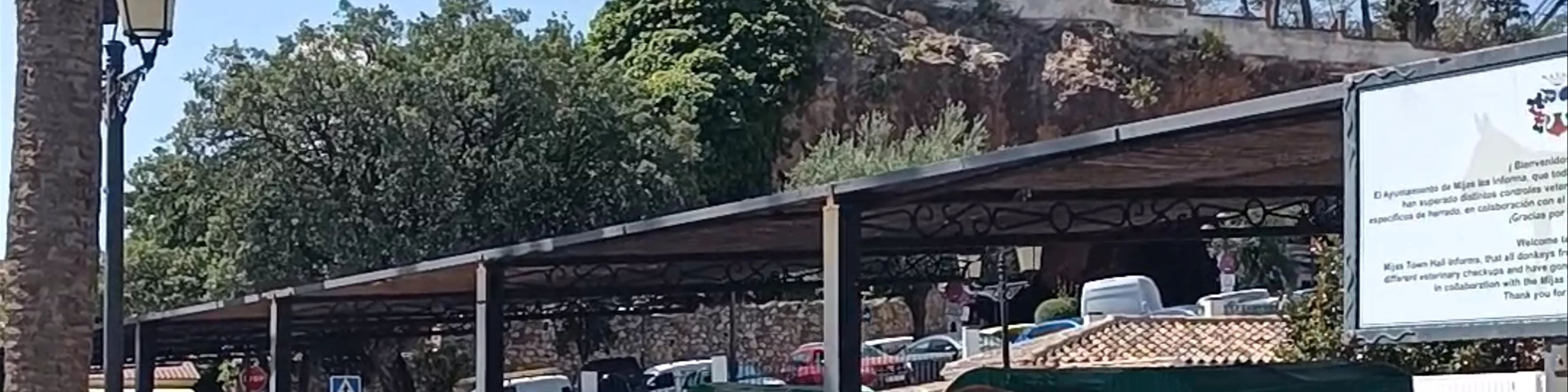Mijas Burro Taxi