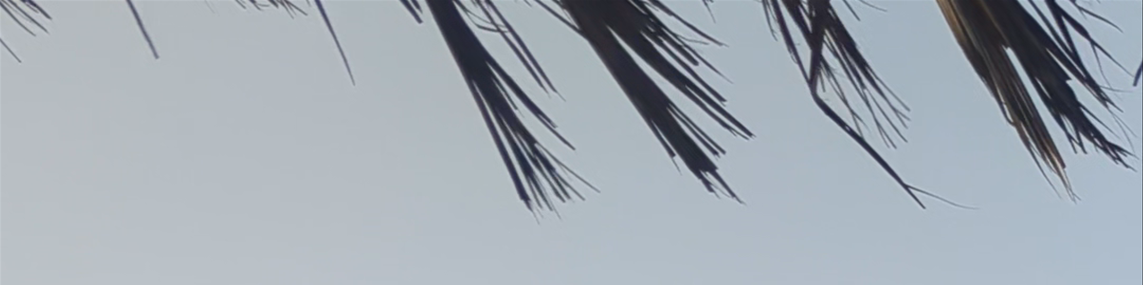 Kilifi