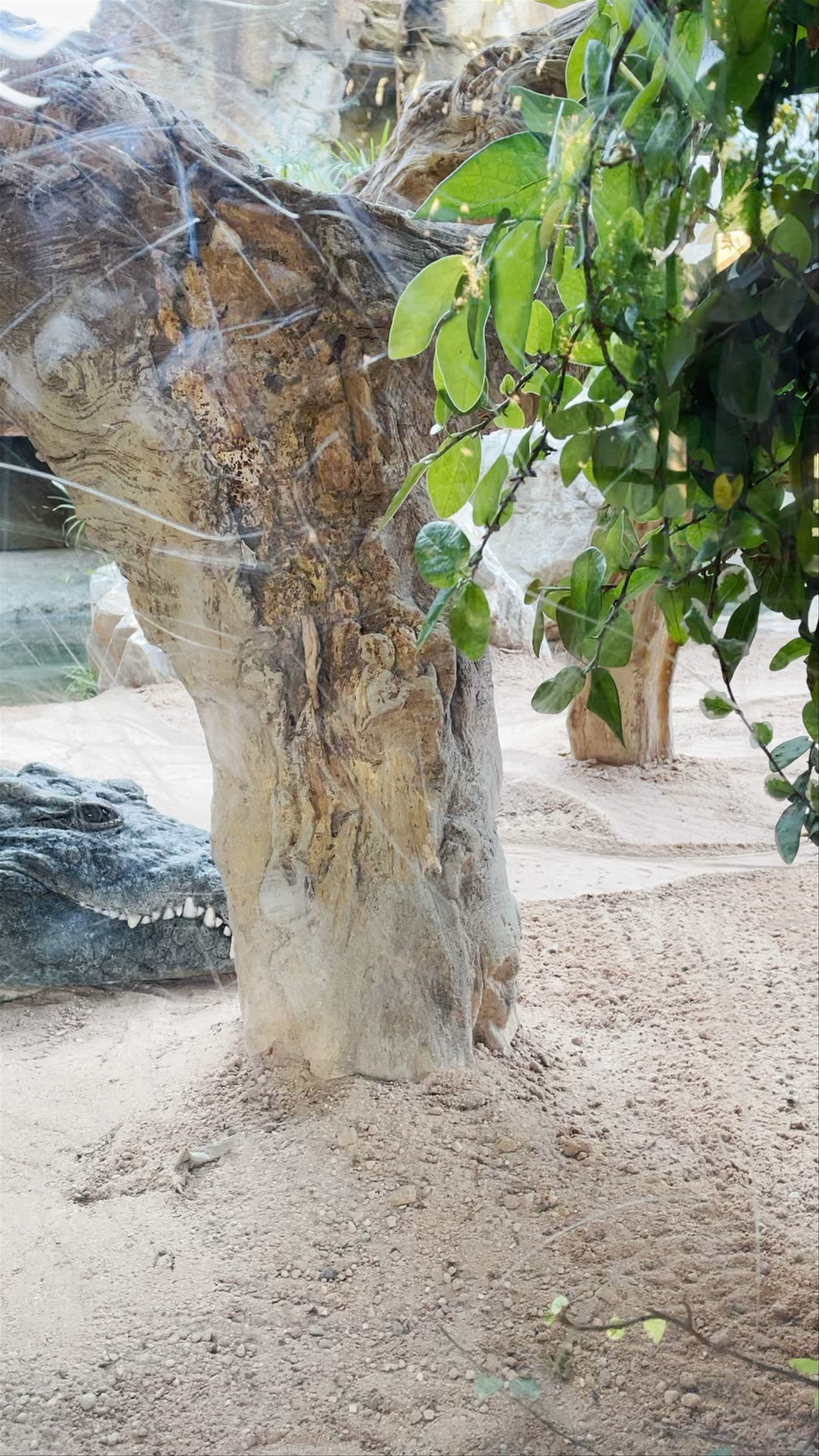 Bioparc