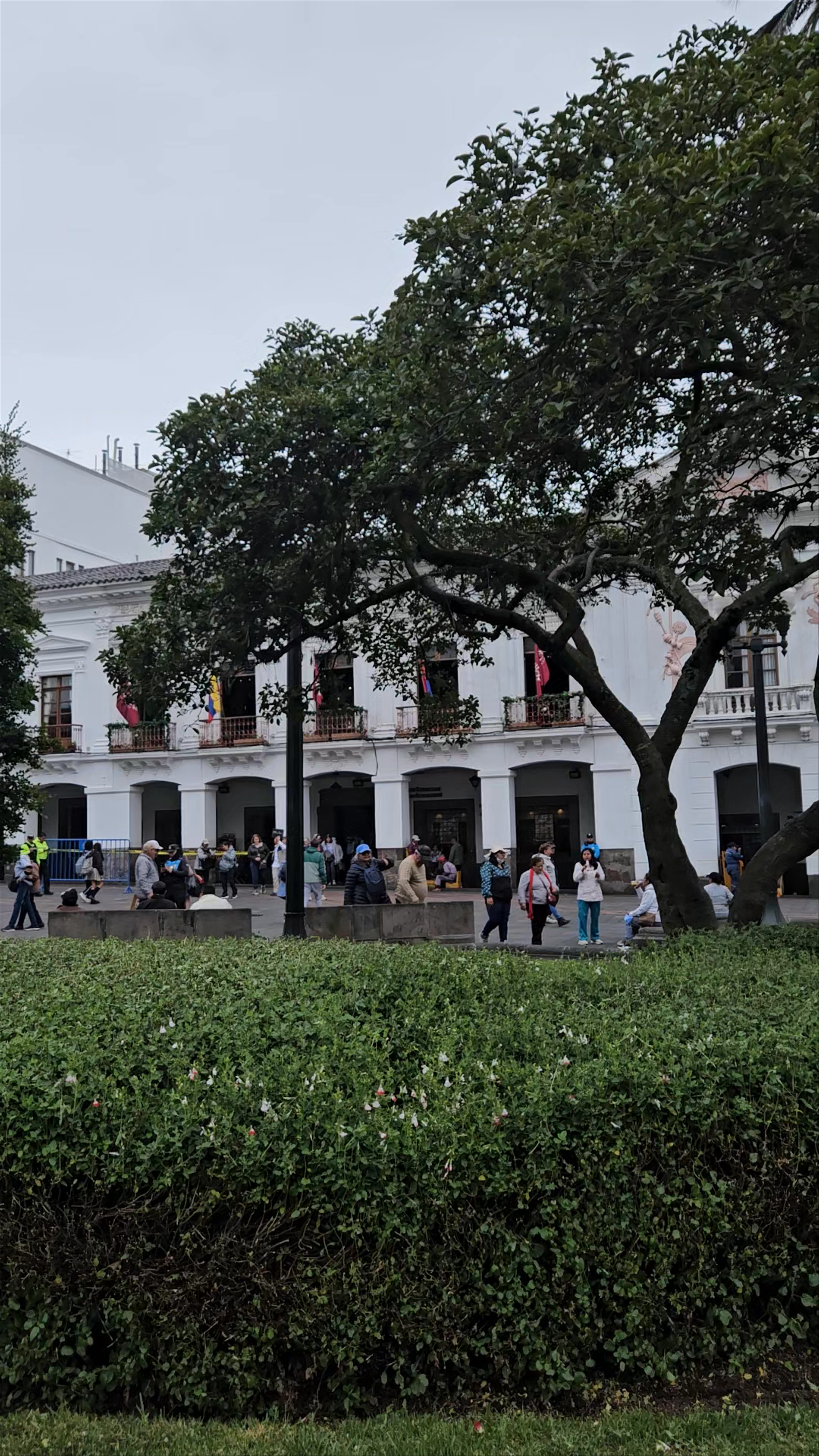 Plaza Grande
