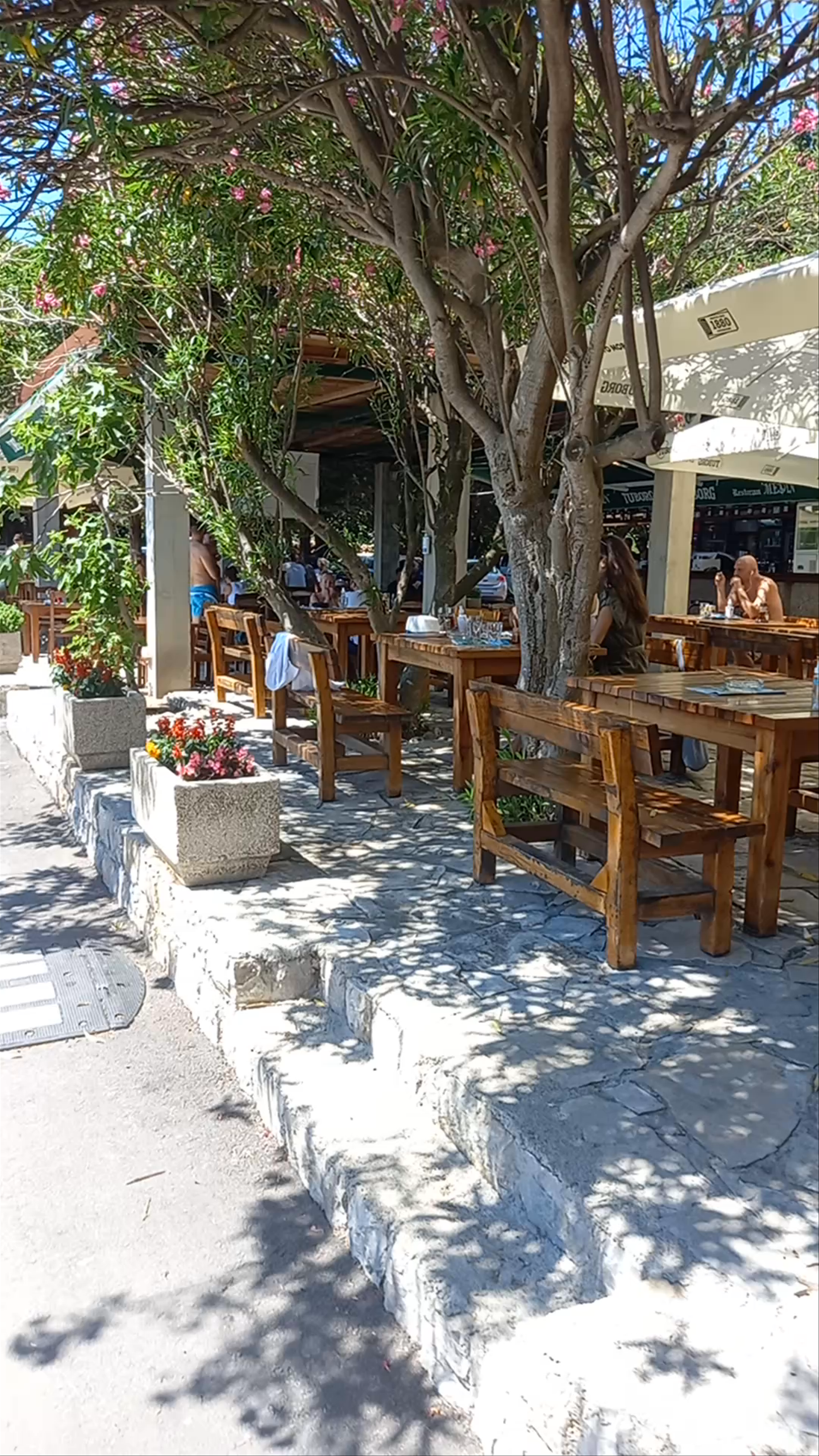 Medin Bar