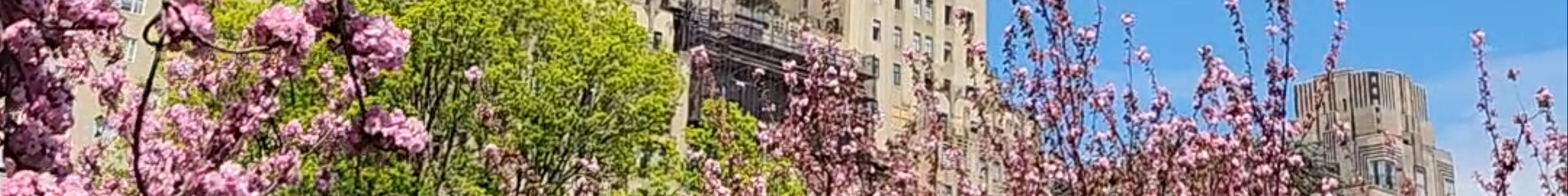 Tours & experiences in Manhattan