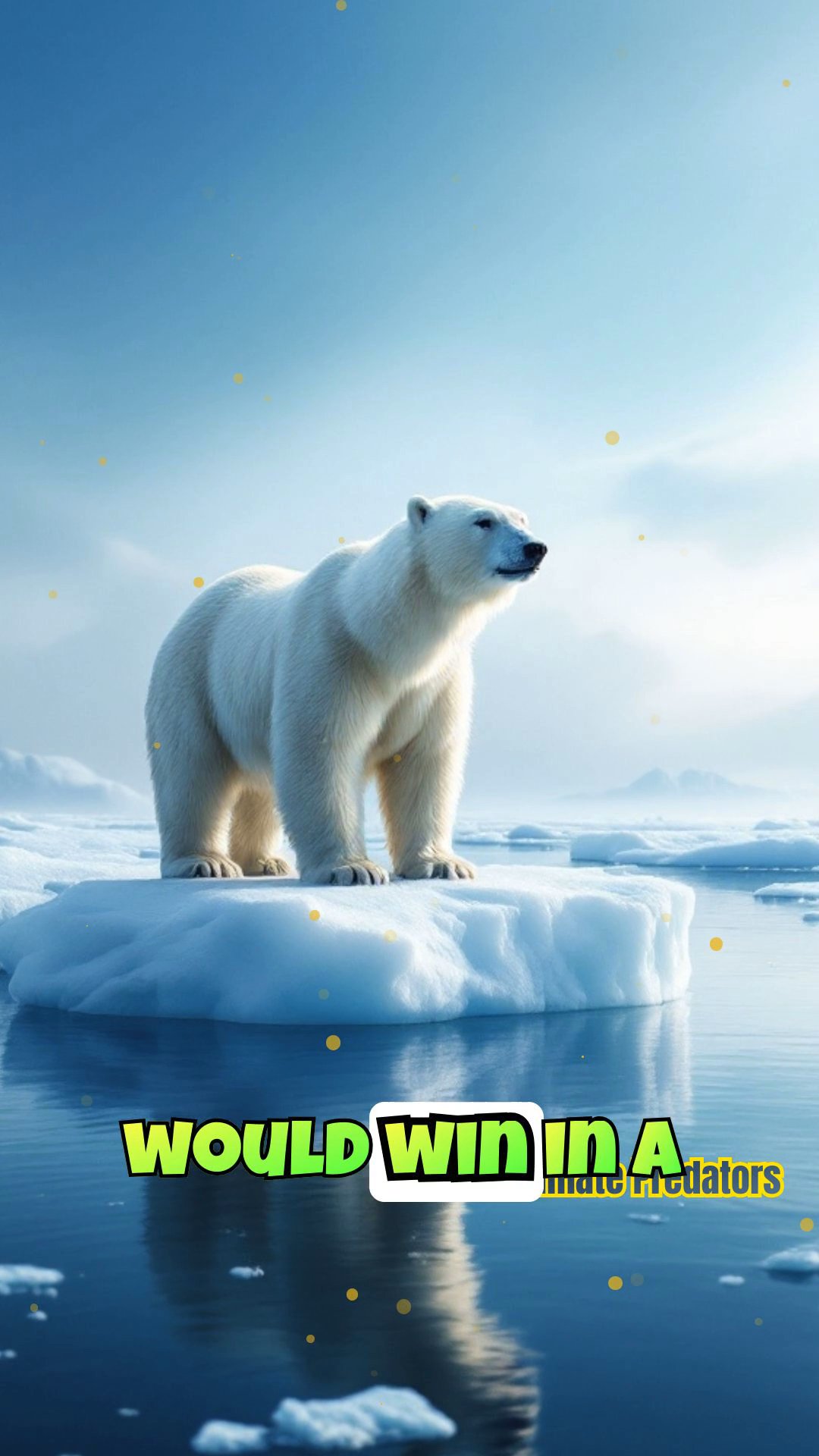 Polar Bear vs. Killer Whale: Arctic Marine Confrontations