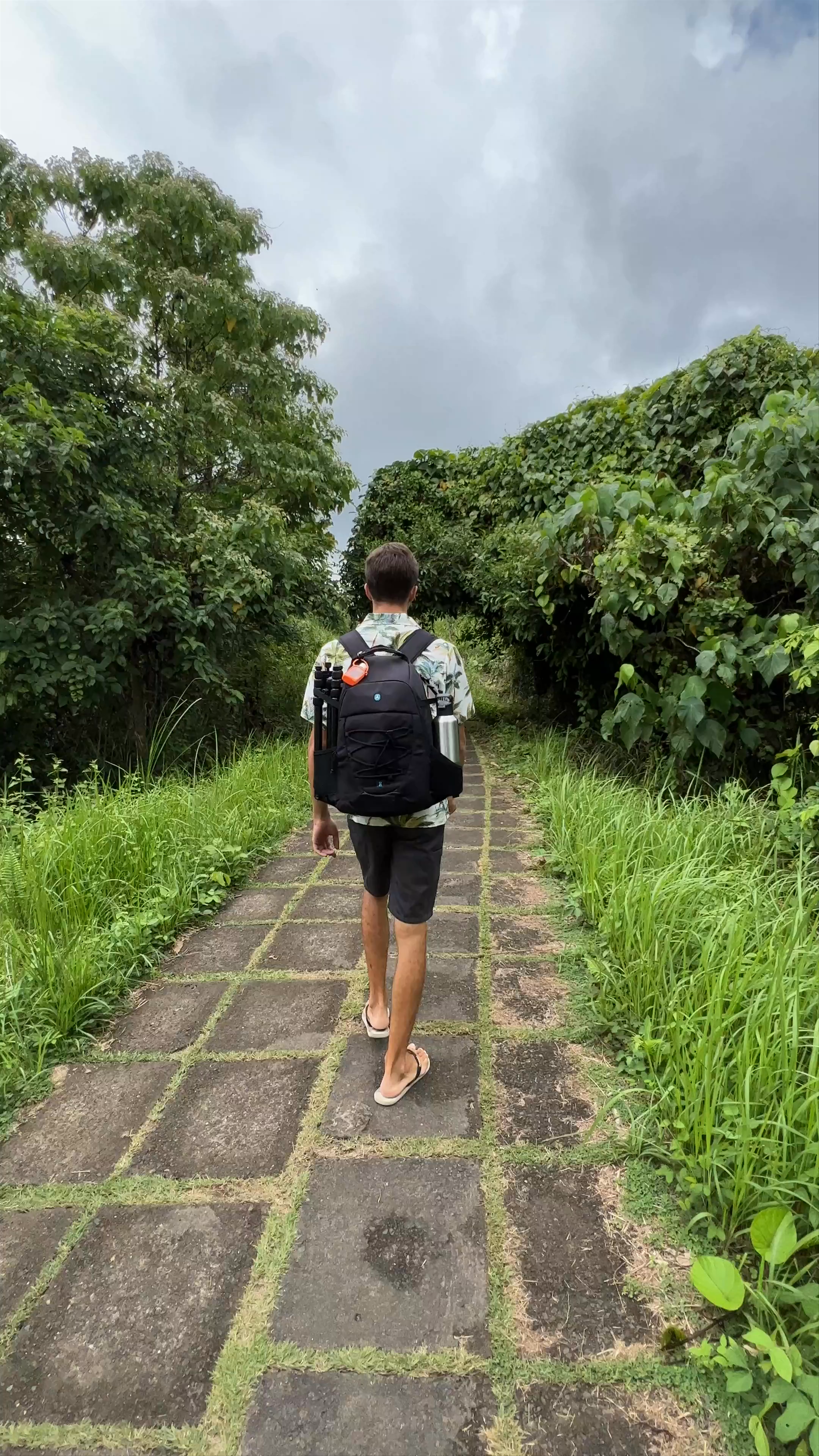 Campuhan Ridge Walk: A Lush Path Through Bali’s Green Heart