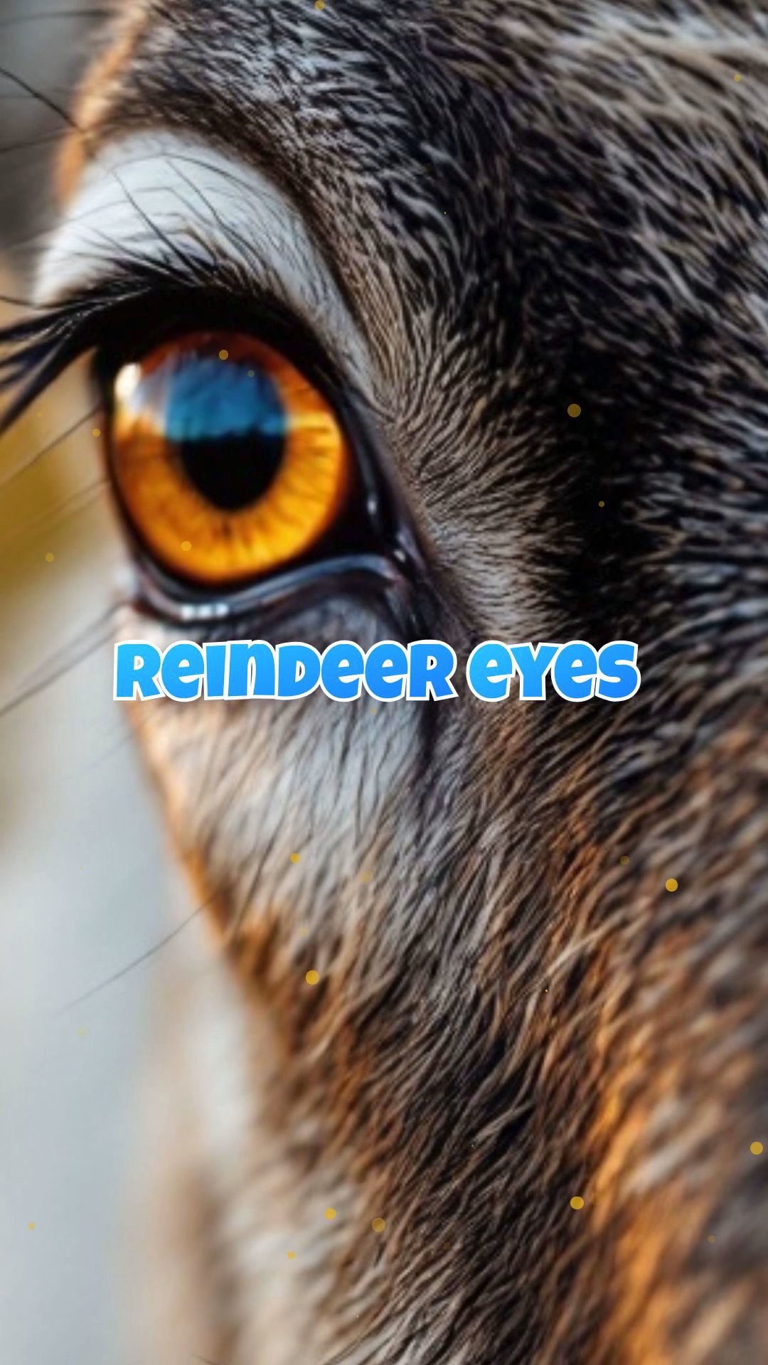 Fascinating Christmas Animal Facts