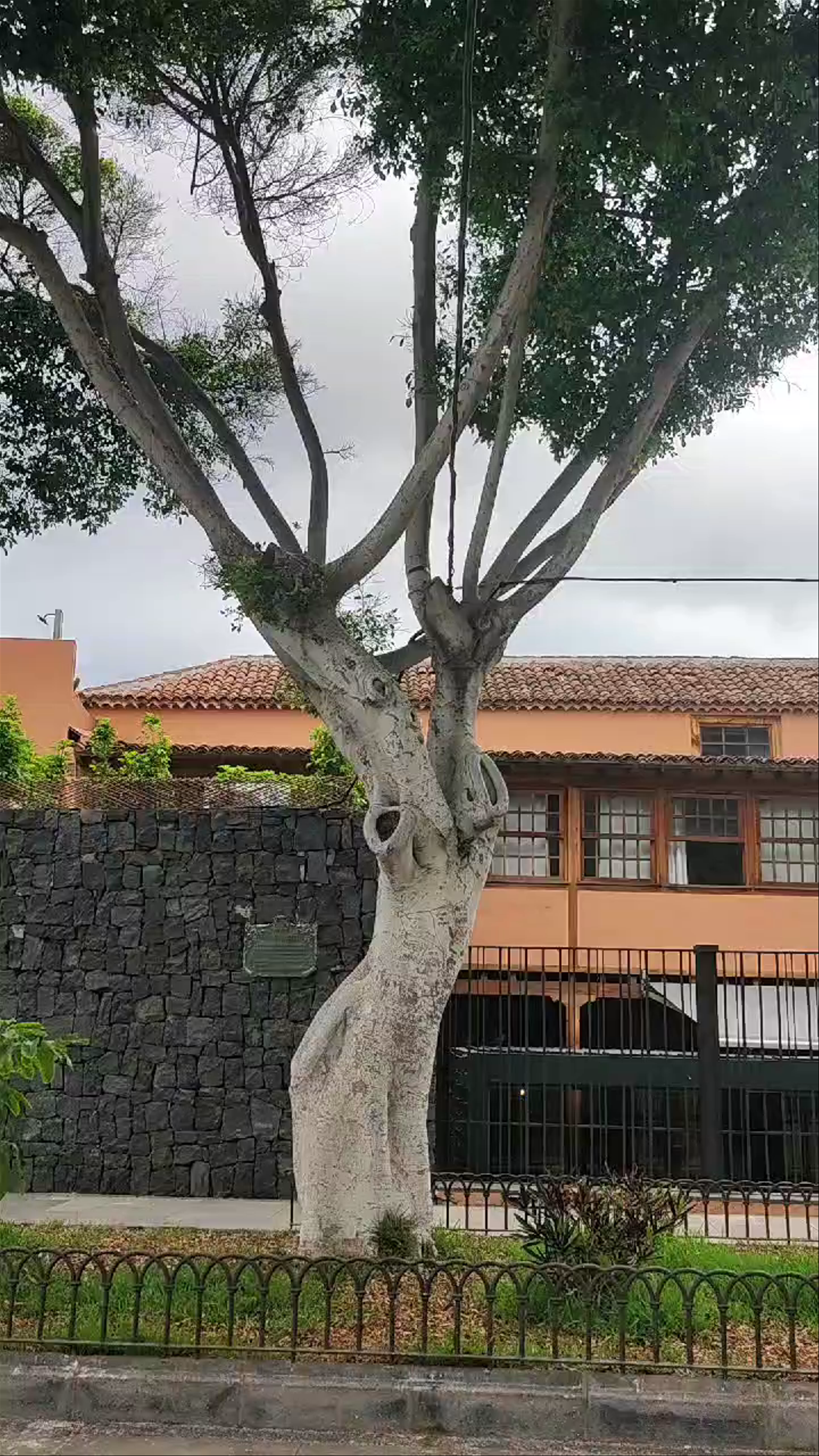 Garachico: Tranquil Plaza and Historic Vibes in the Canary Islands