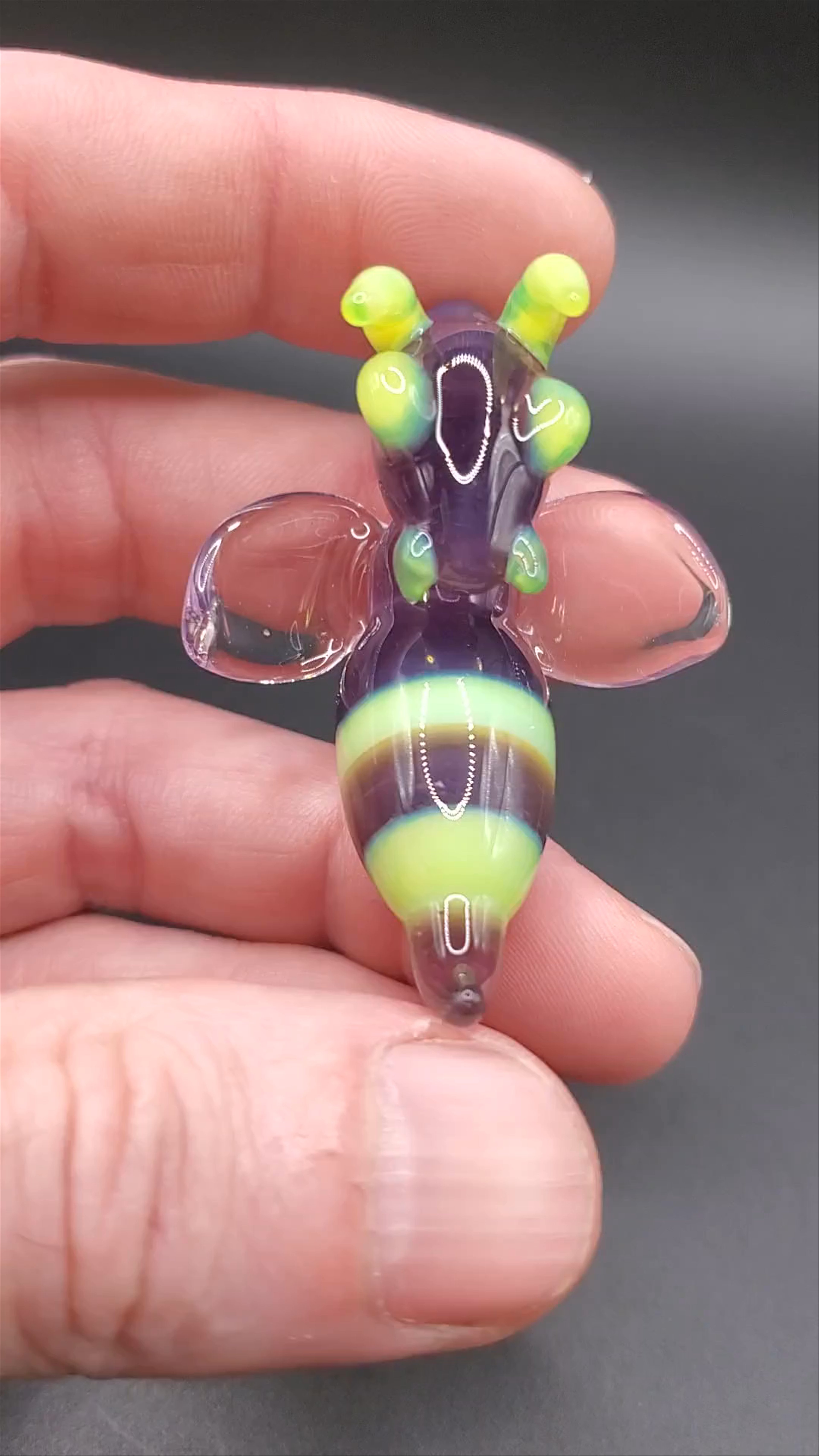 Preview pic of Belledonna/slyme hornet