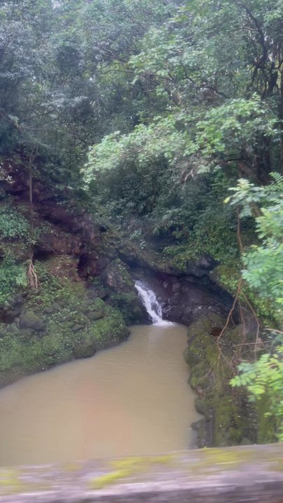 Polynesian Adventure - Bus Tours Near Me - Paia, Hawaii