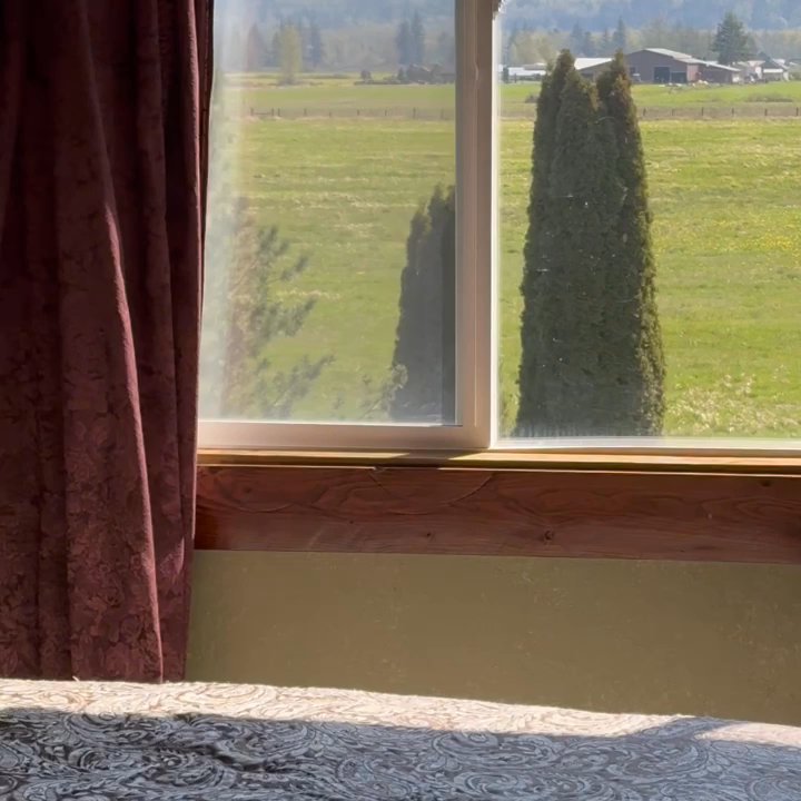 Willowbrook Manor - The English Thyme Suite ~ Willowbrook Manor in Sedro-Woolley WA April 2024 - Bed & Breakfast Near Me - Sedro-Woolley, Washington