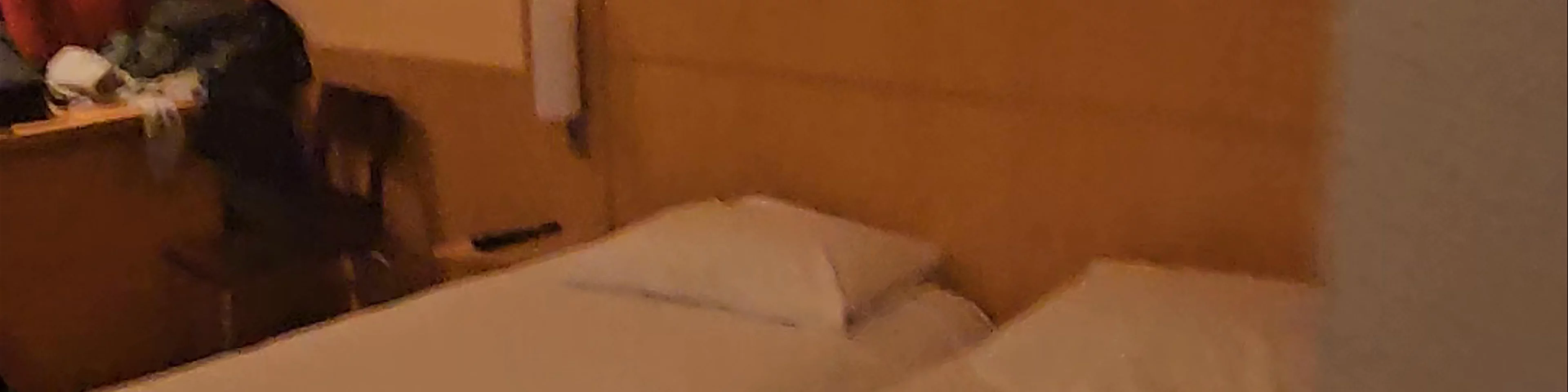 Ibis Warszawa Ostrobramska