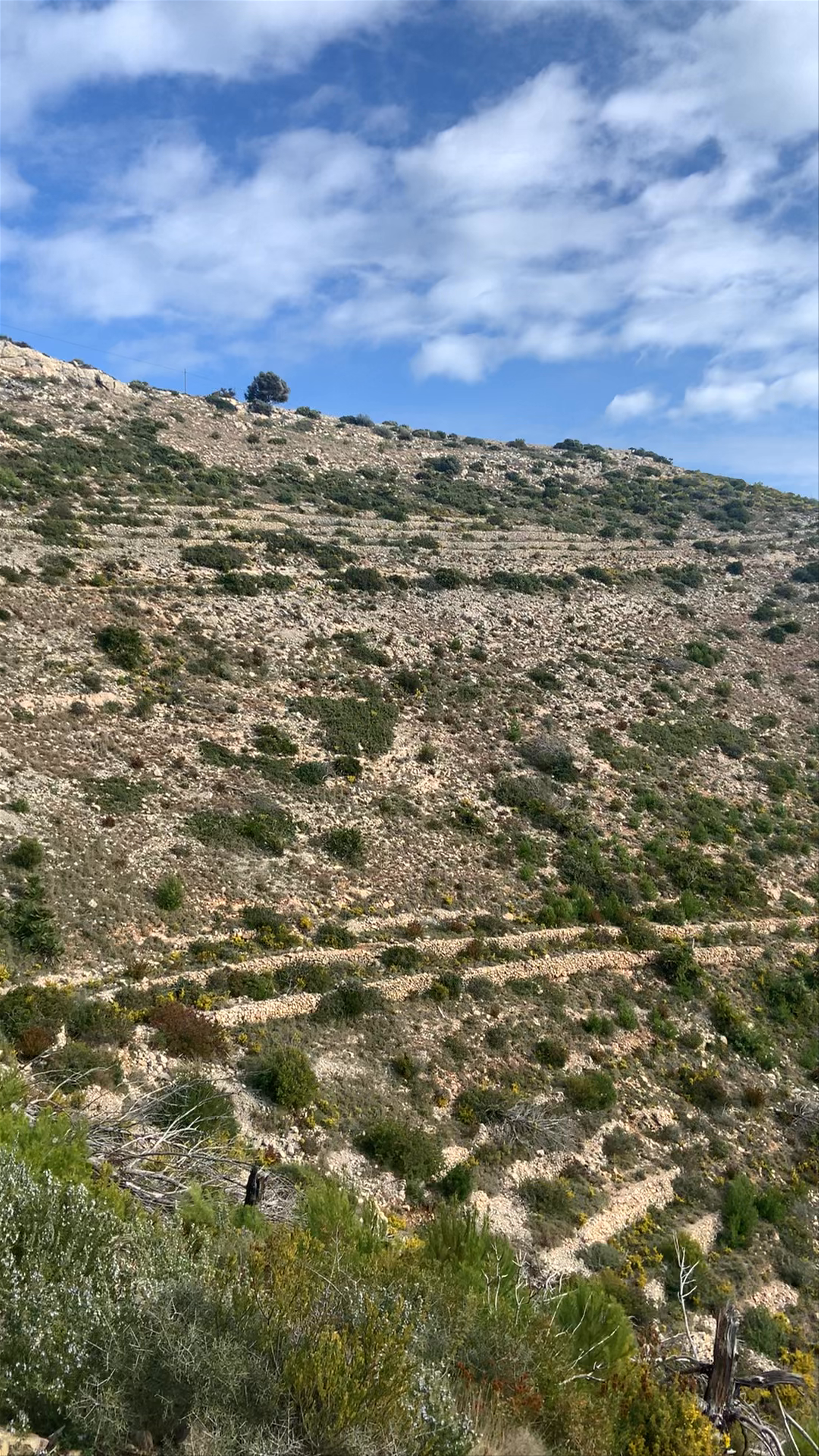Cabo de San Antonio