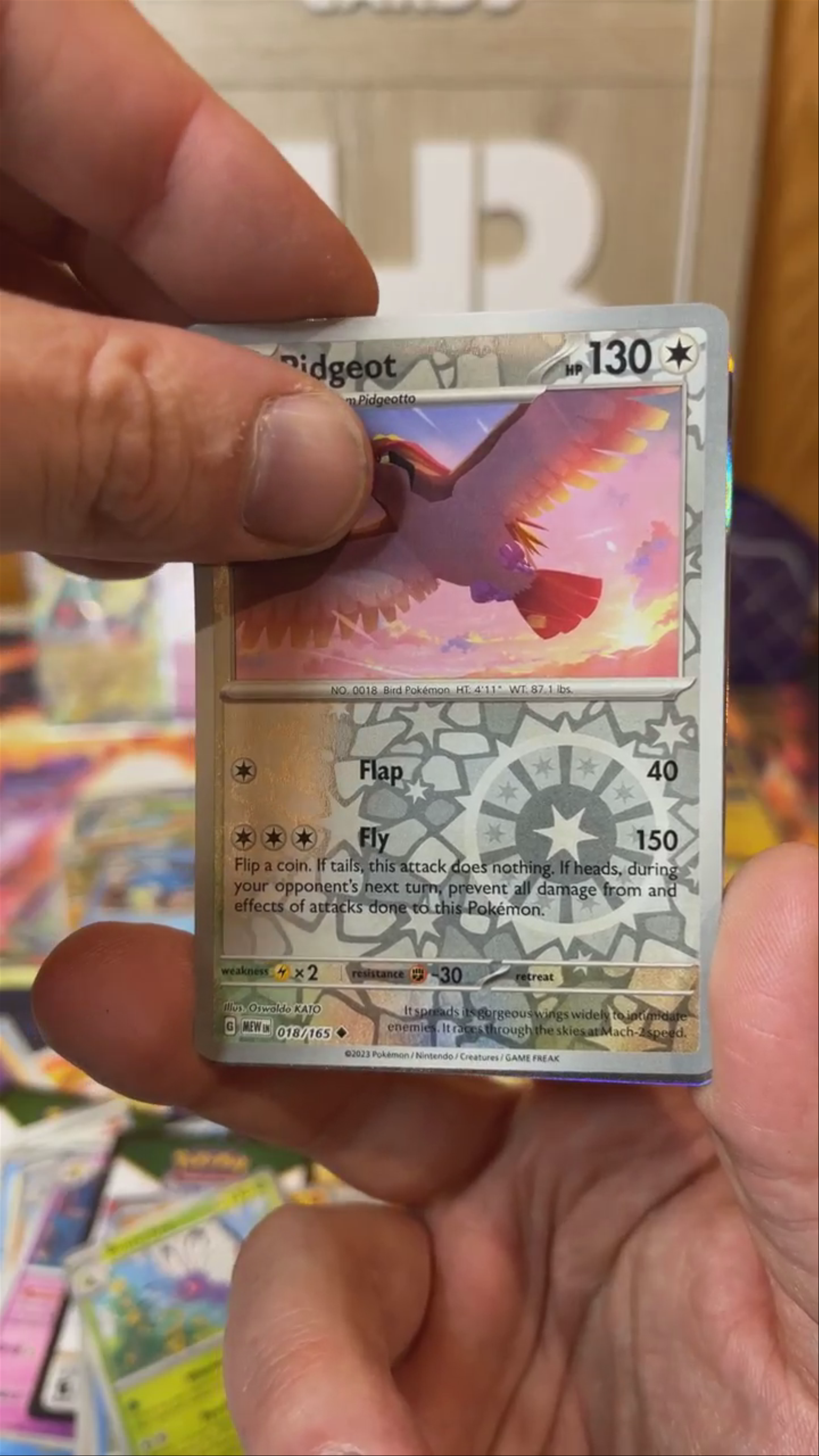Pokemon Day 2024 Hit # 7