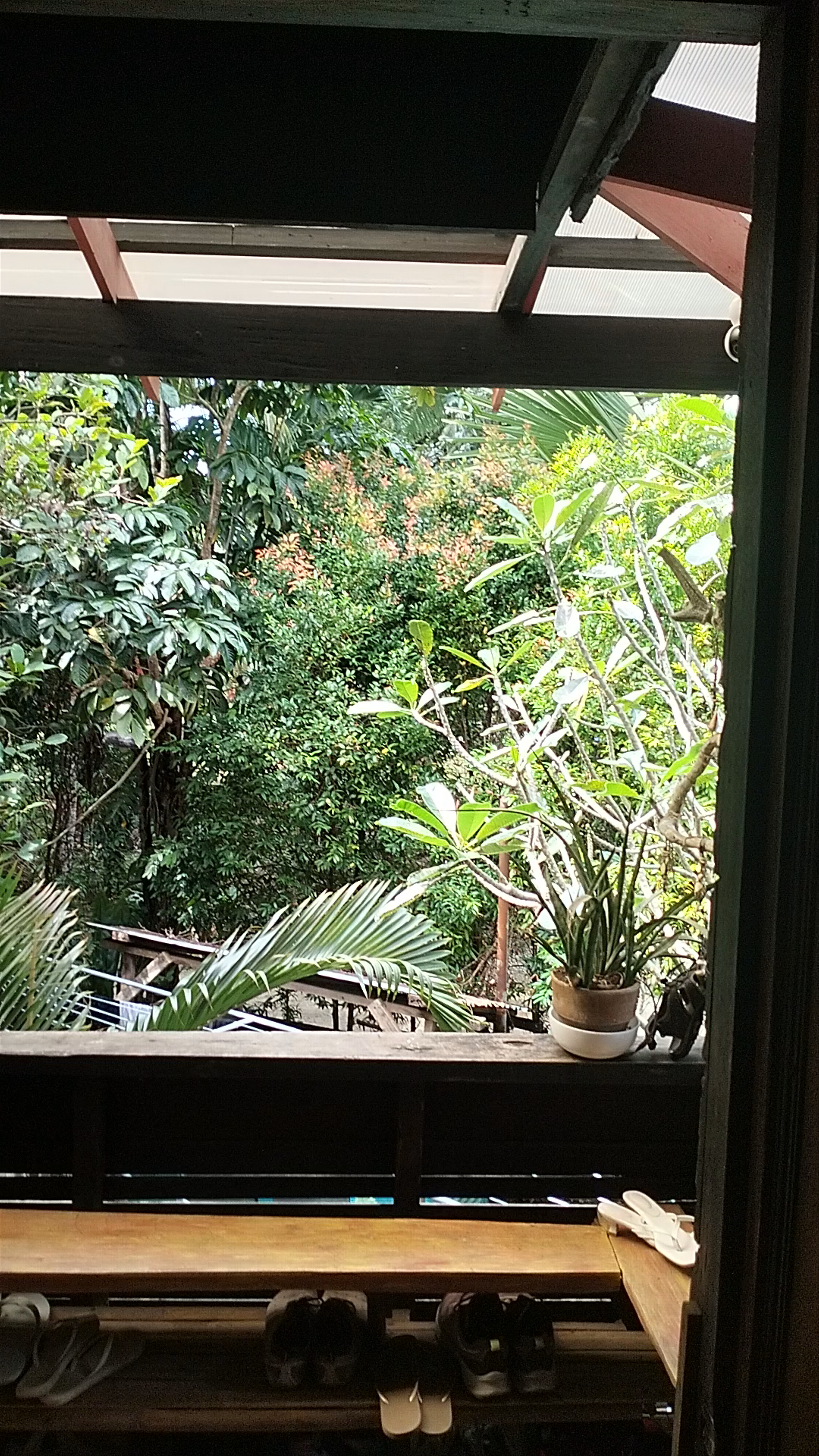 Tropical Tranquility in Panglao, Bohol at Peaceland