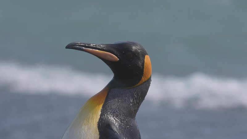 Untitled Work poster