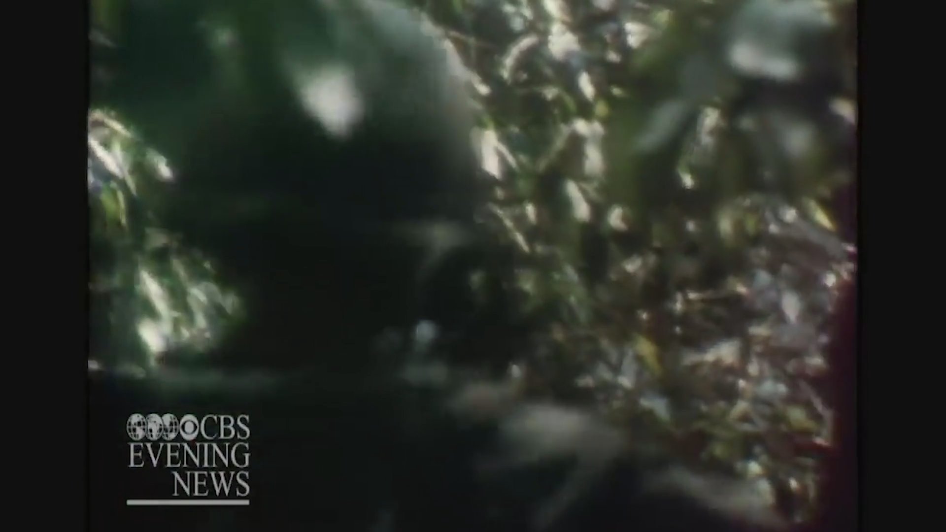 Military helicopters fly over dense jungle terrain as soldiers navigate the foliage during the Vietnam War, followed by archival footage of Robert McNamara discussing the escalation of bombing campaigns.