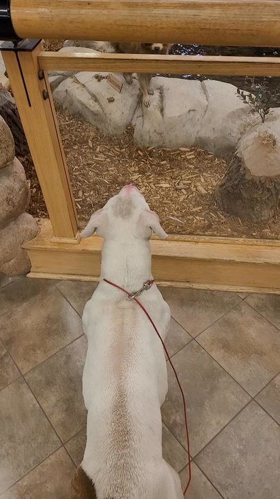 Cabela's - Guns & Ammo Near Me - Rogers, Minnesota