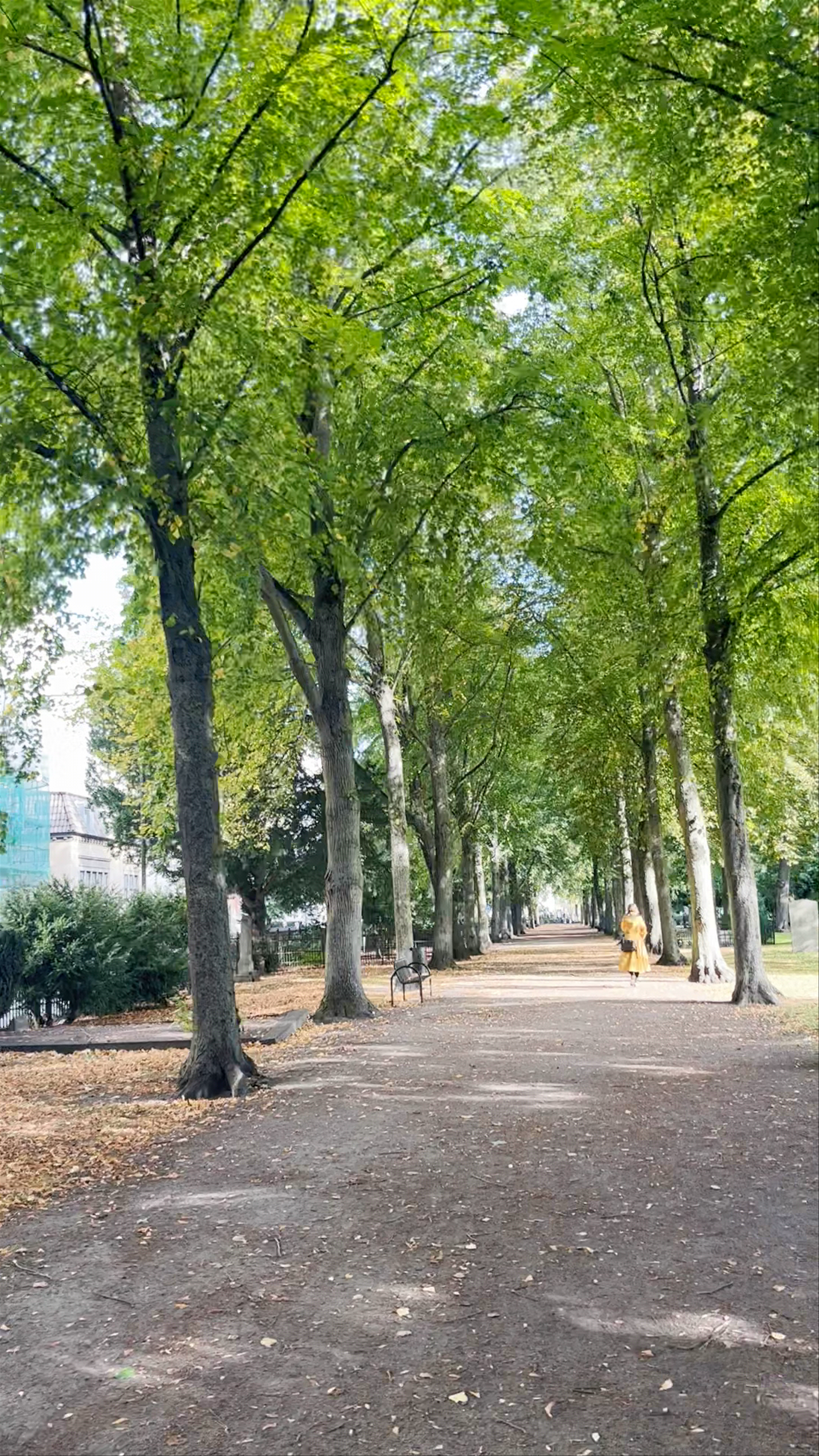 Gamla kyrkogården