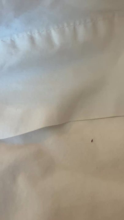 Coyote Mountain Lodge - Documented bugs, room, Coyote Mountain Lodge room - Hotels Near Me - Estes Park, Colorado