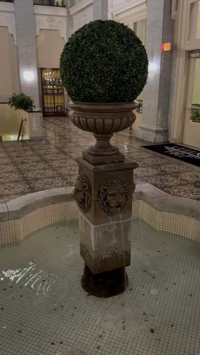 The Hotel Bentley - Hotels Near Me - Alexandria, Louisiana